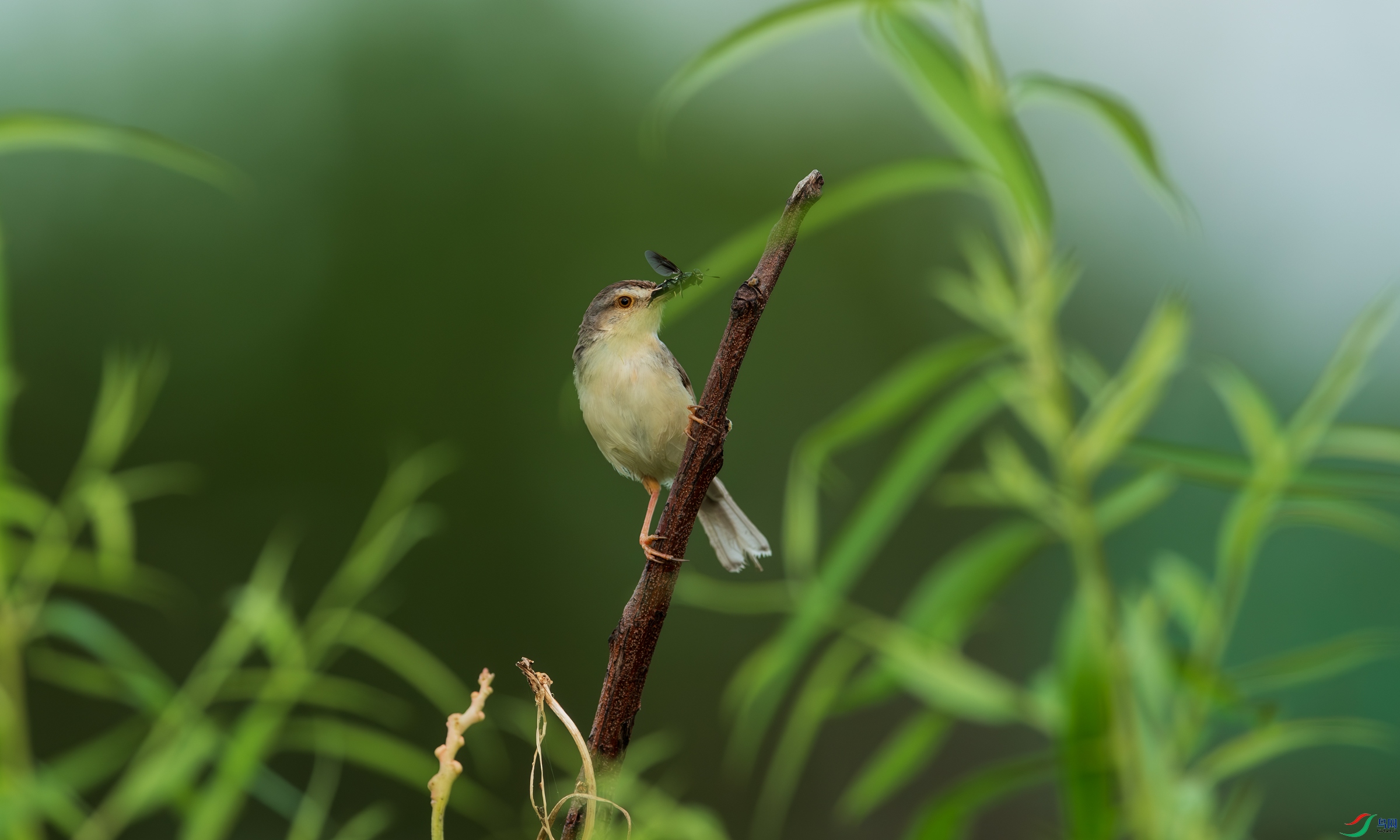 DSC_5781.jpg