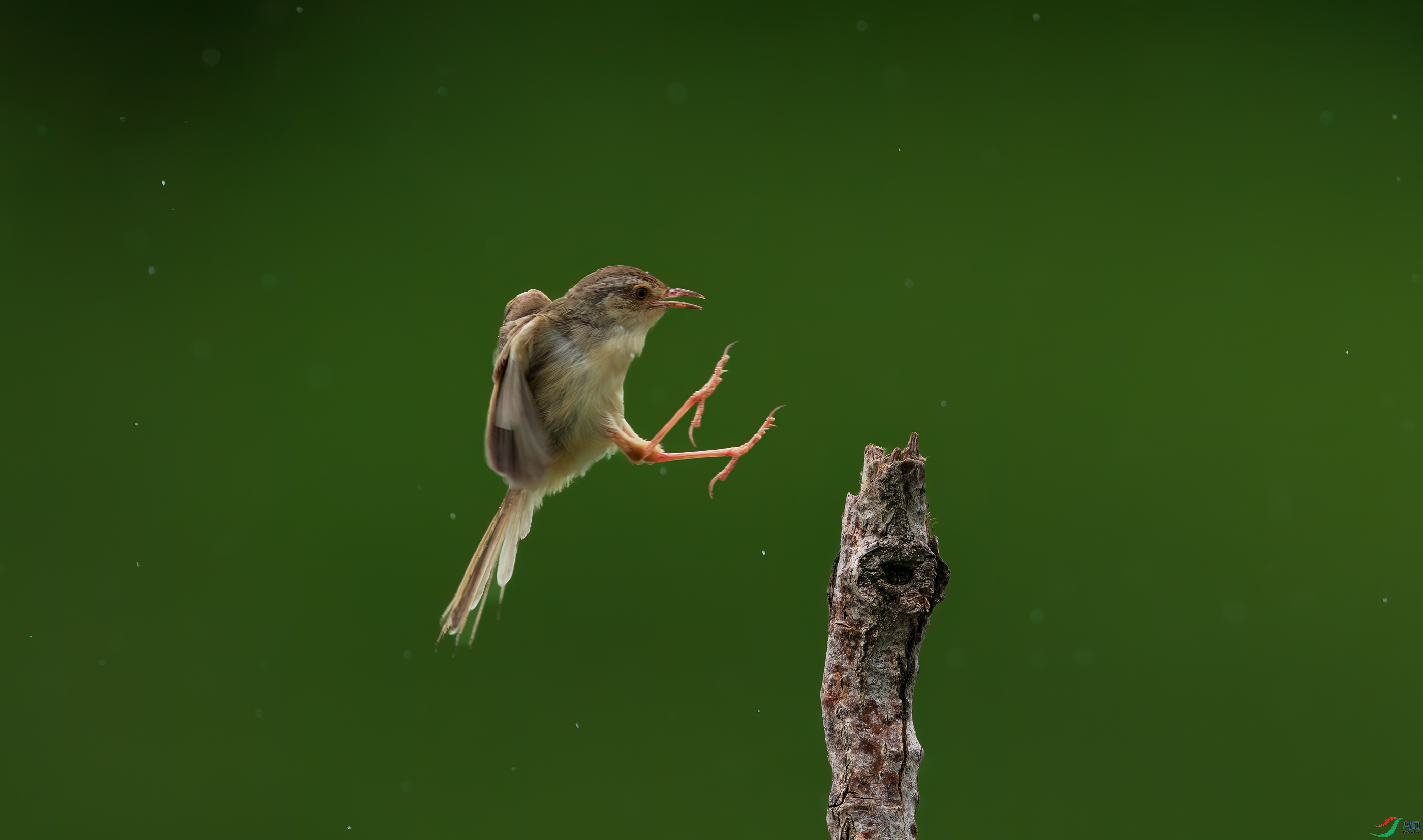 DSC_6396.jpg