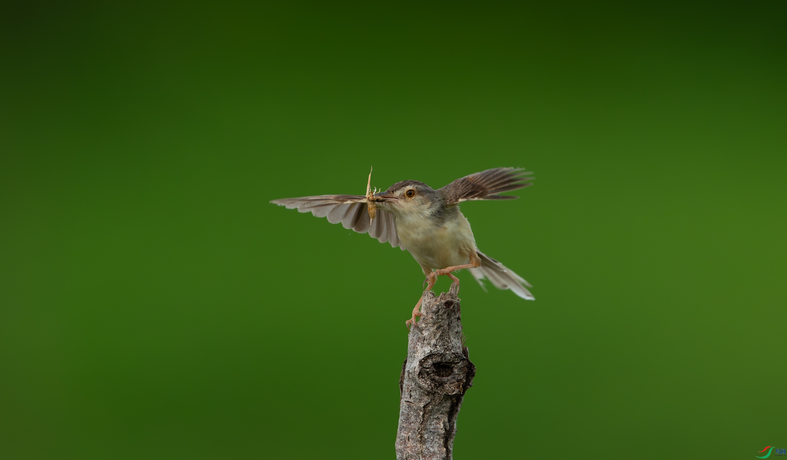 DSC_6192.jpg