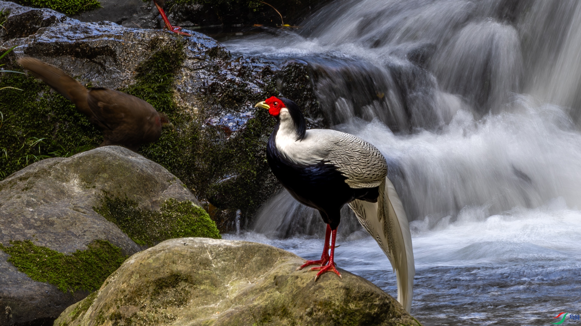 _16A5228-1.jpg