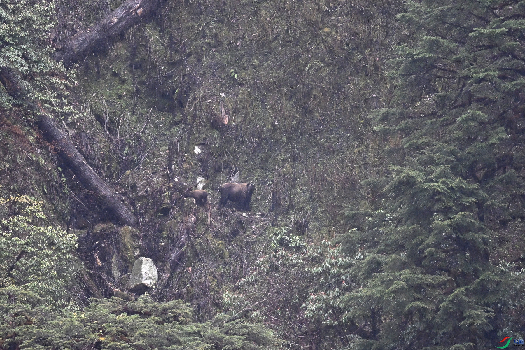 DSC_0647.JPG