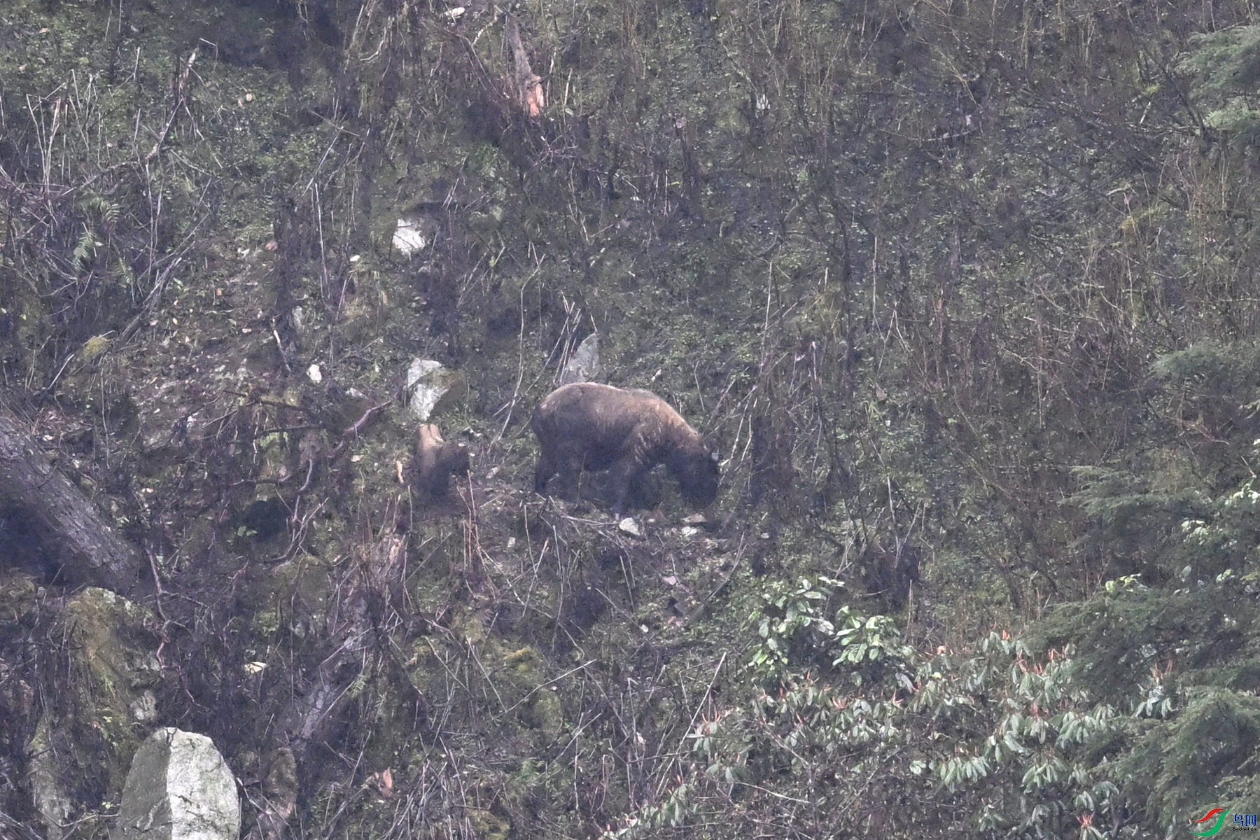DSC_0669.JPG
