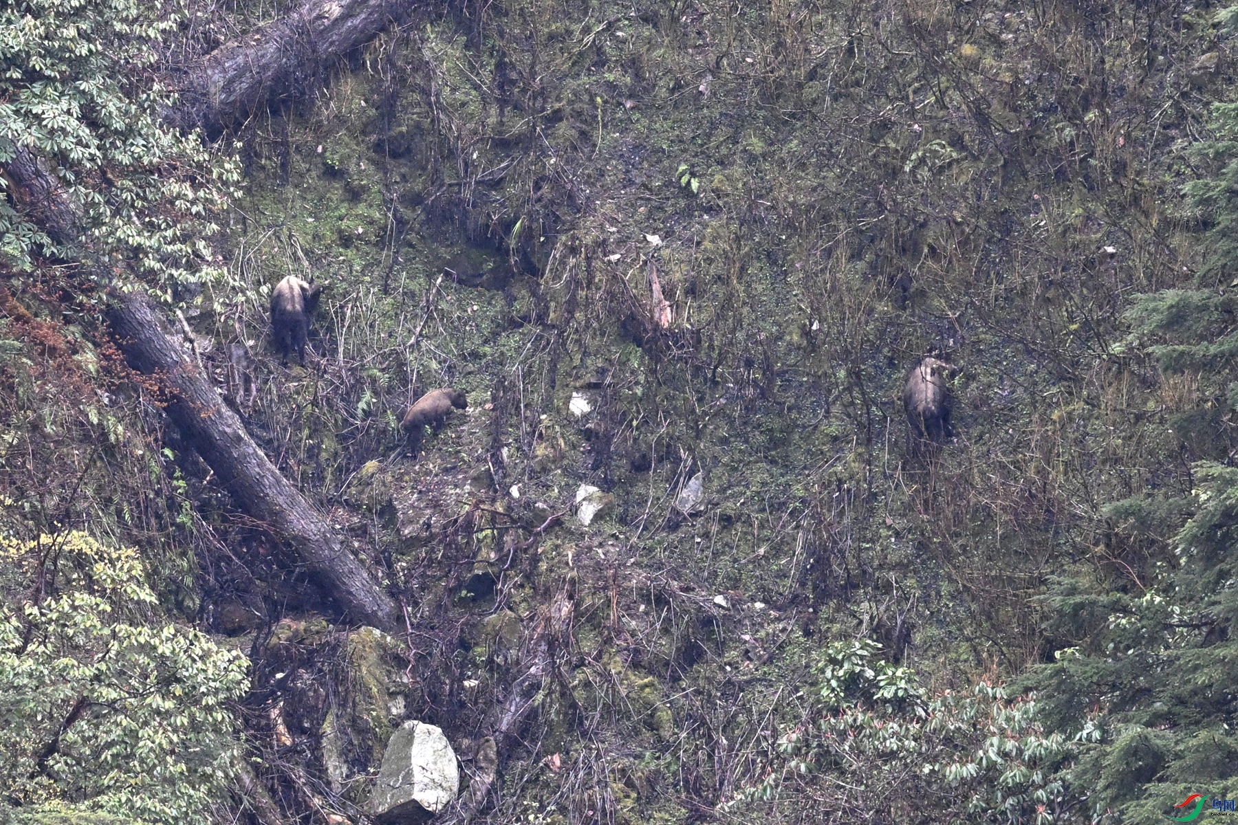 DSC_0725.JPG