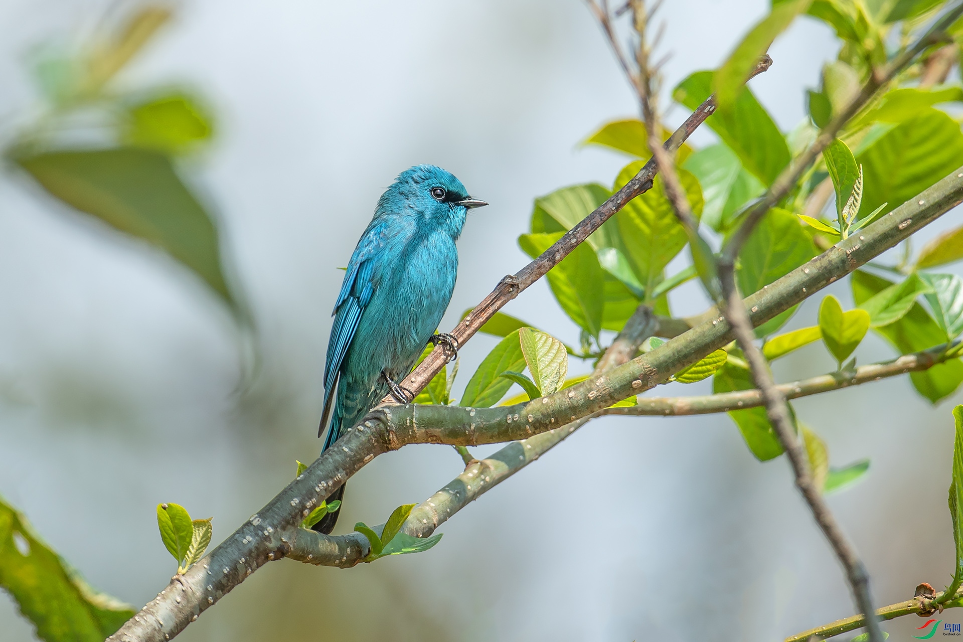 DSC_3753.jpg
