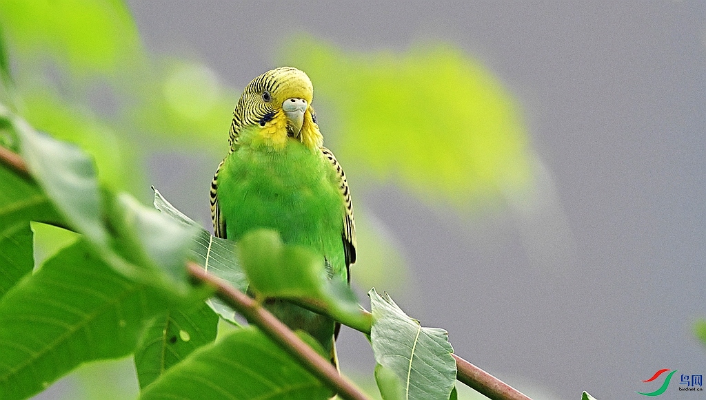 DSC_8884.JPG