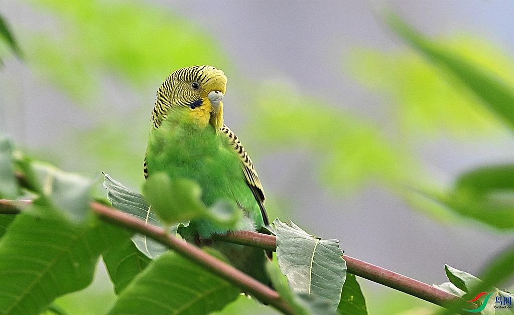 DSC_8949.JPG