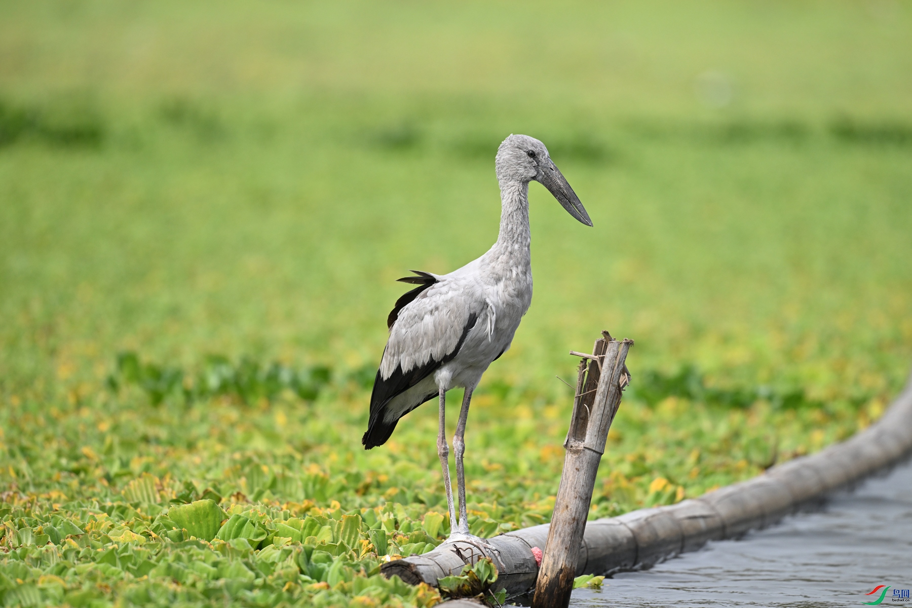 DSC_6129.JPG