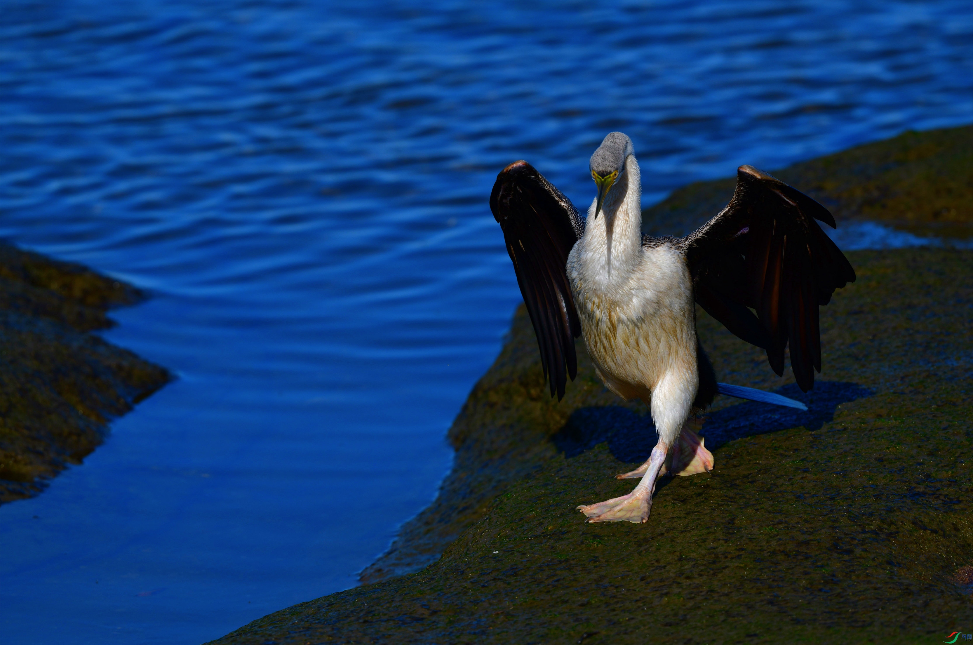 DSC_8888_��ͼ��_����.jpg