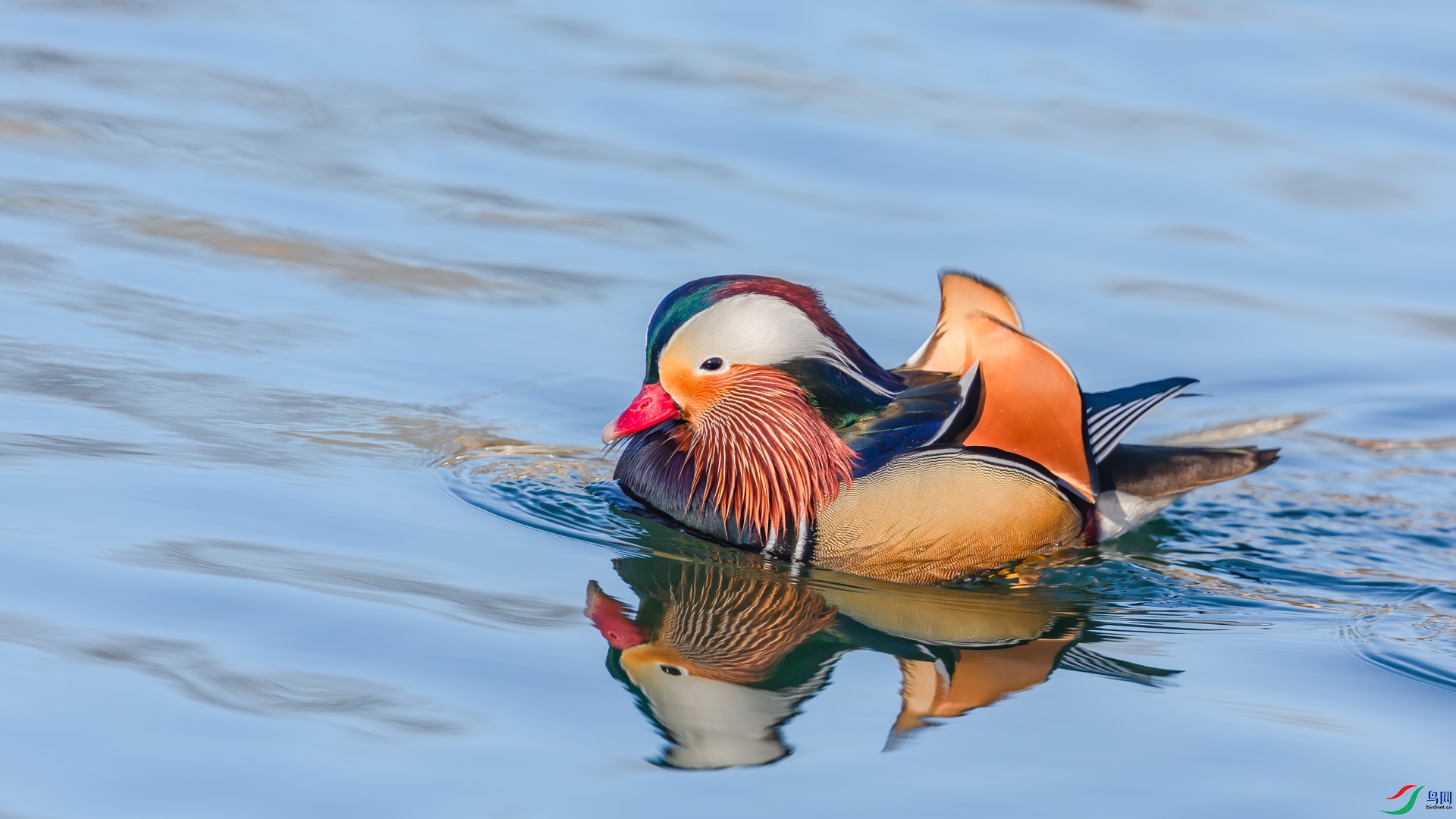 AQ4P0226-1.JPG