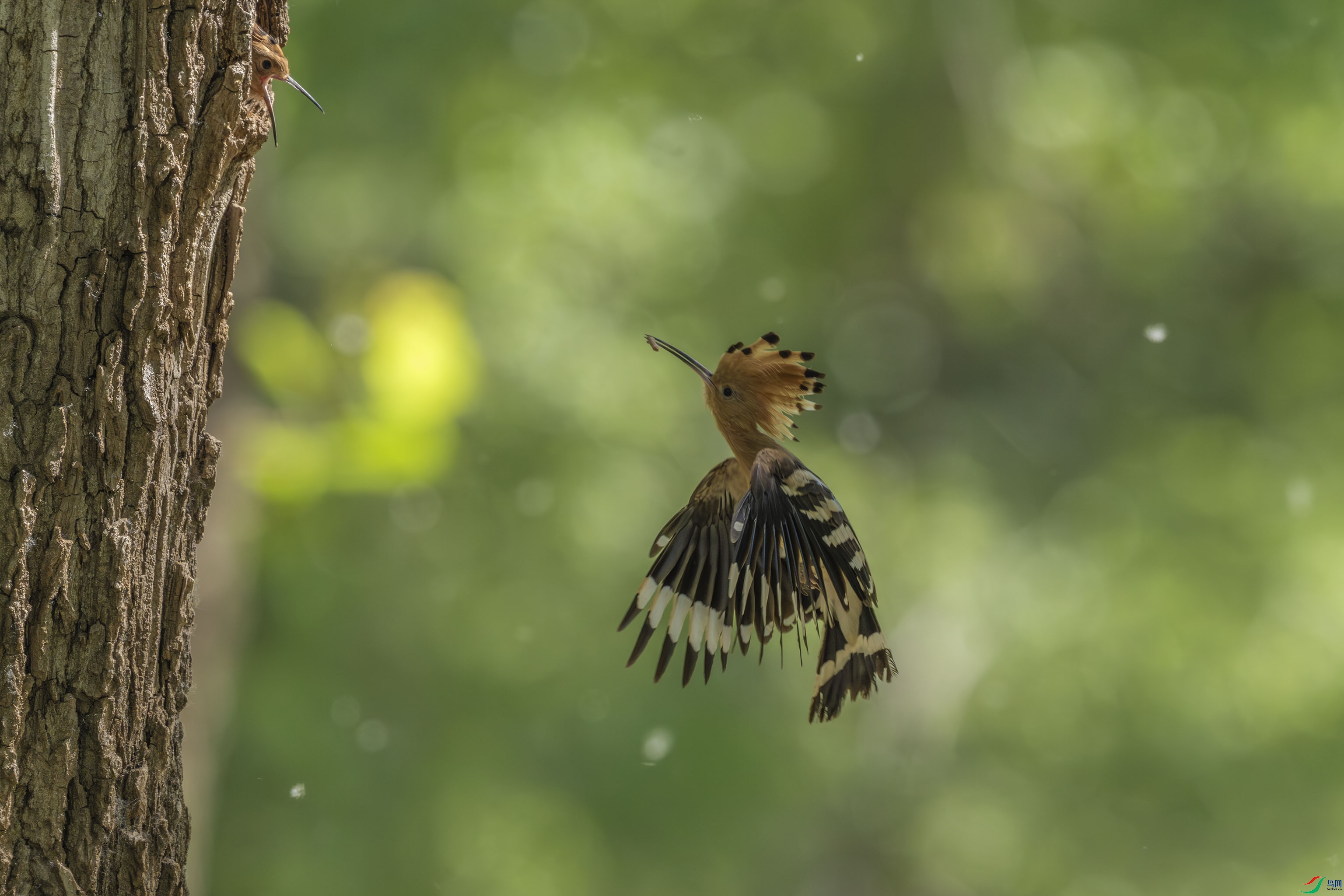 DSC_2240-2.jpg
