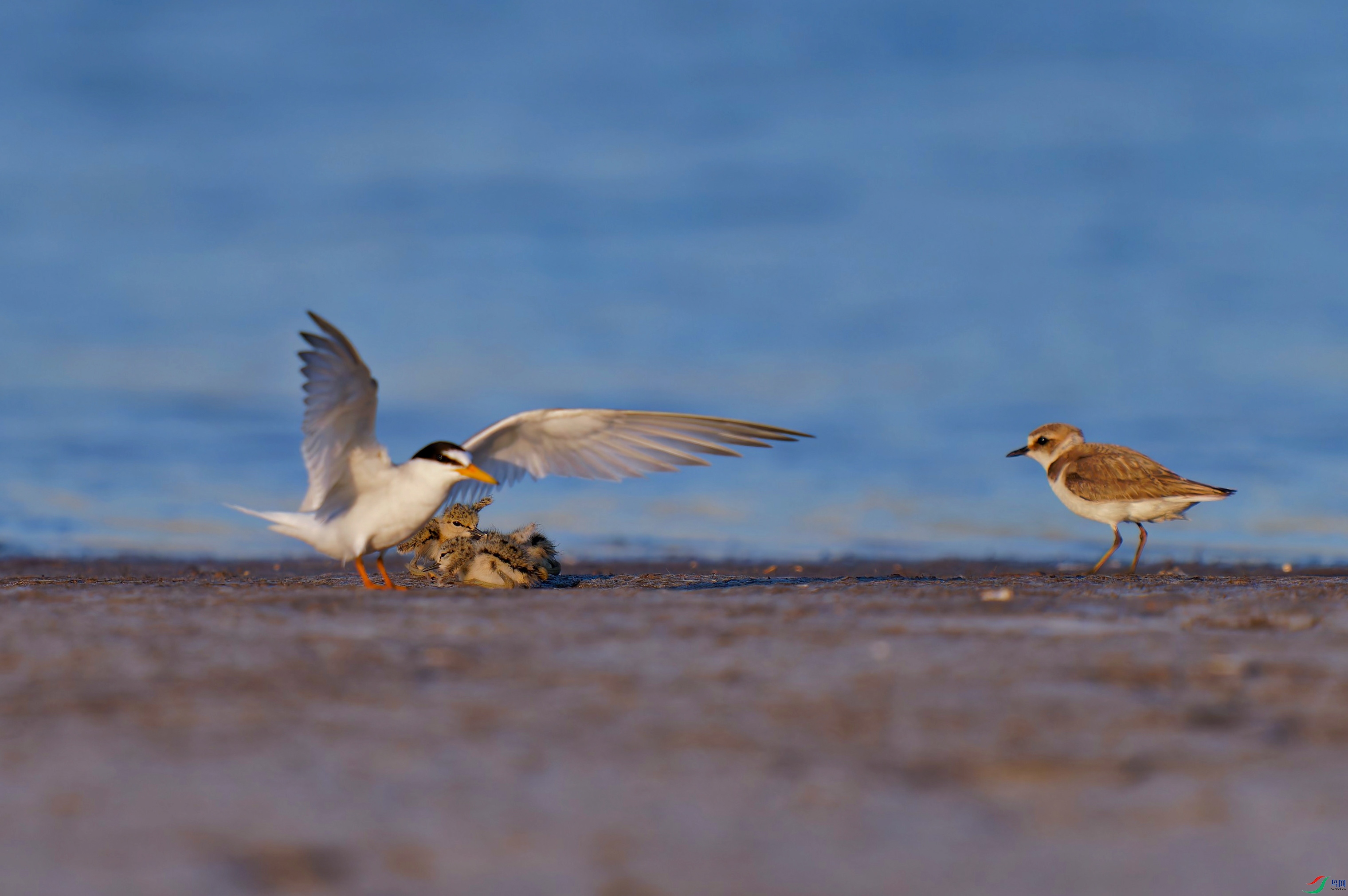 DSC05708-ARW_DxO_DeepPRIMEXD_polarr_1.jpeg