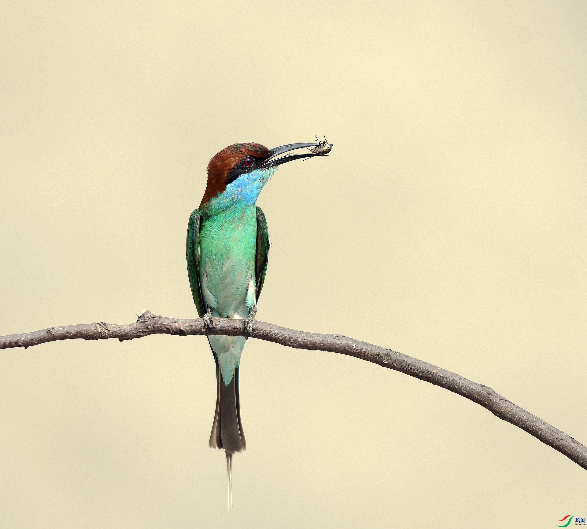 DSC_8041.jpg