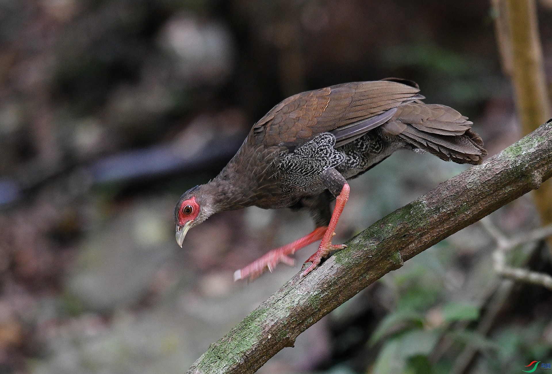 DSC_6513.jpg