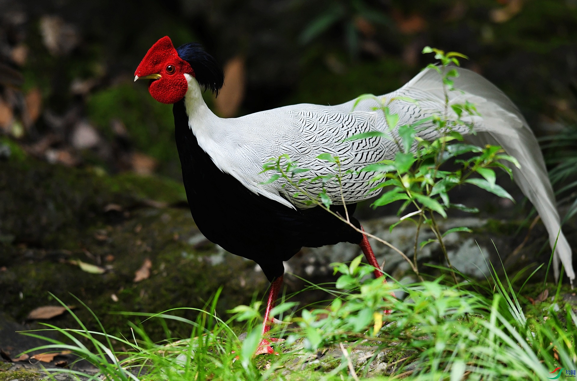 DSC_6551.jpg