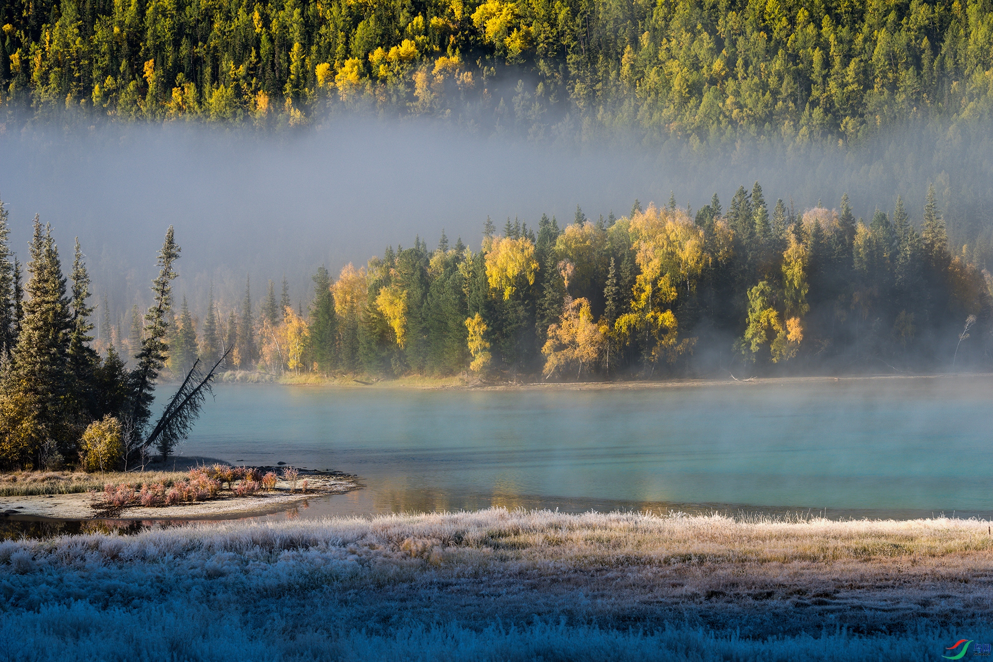 DSC_4703a.jpg