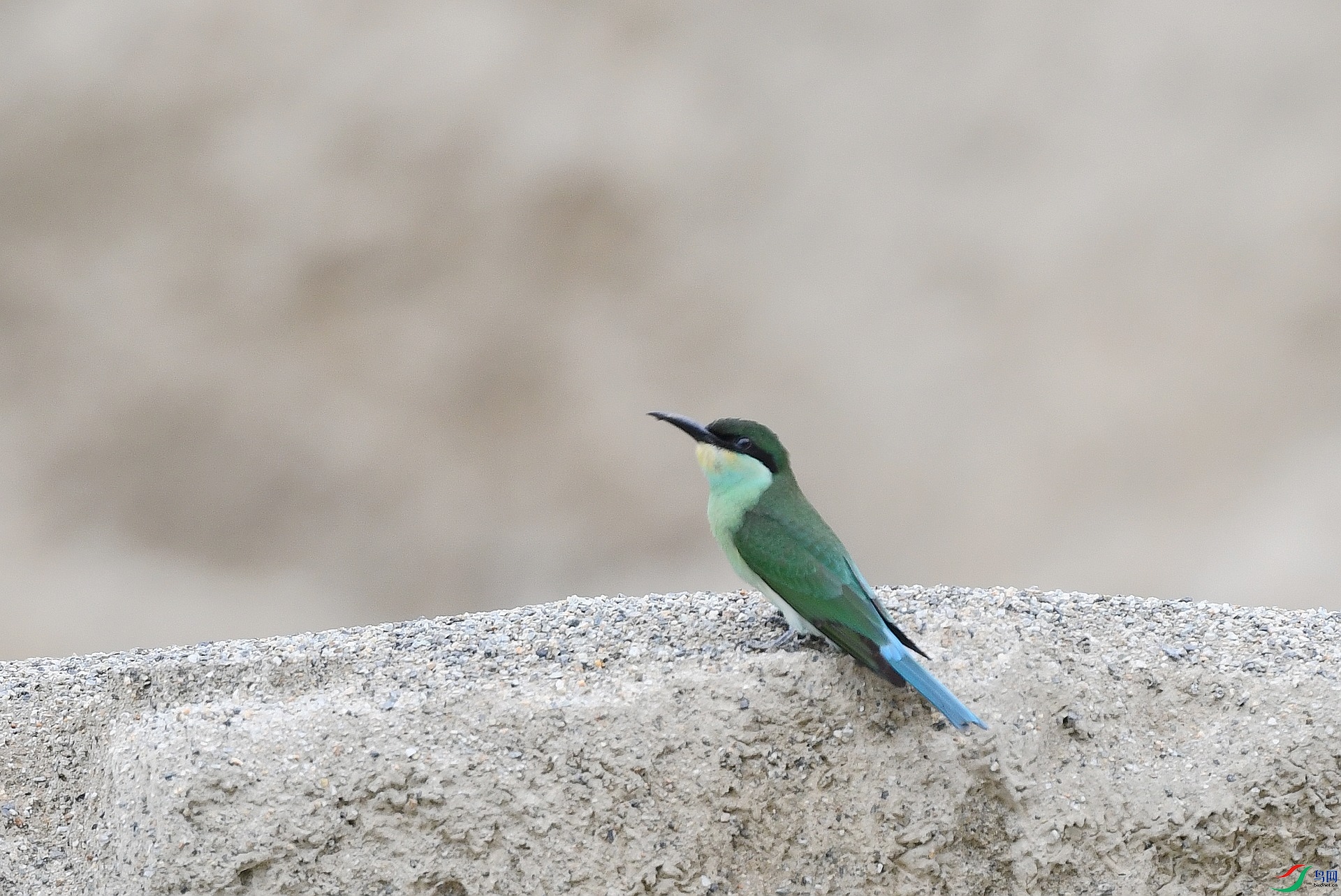 DSC_4705.jpg