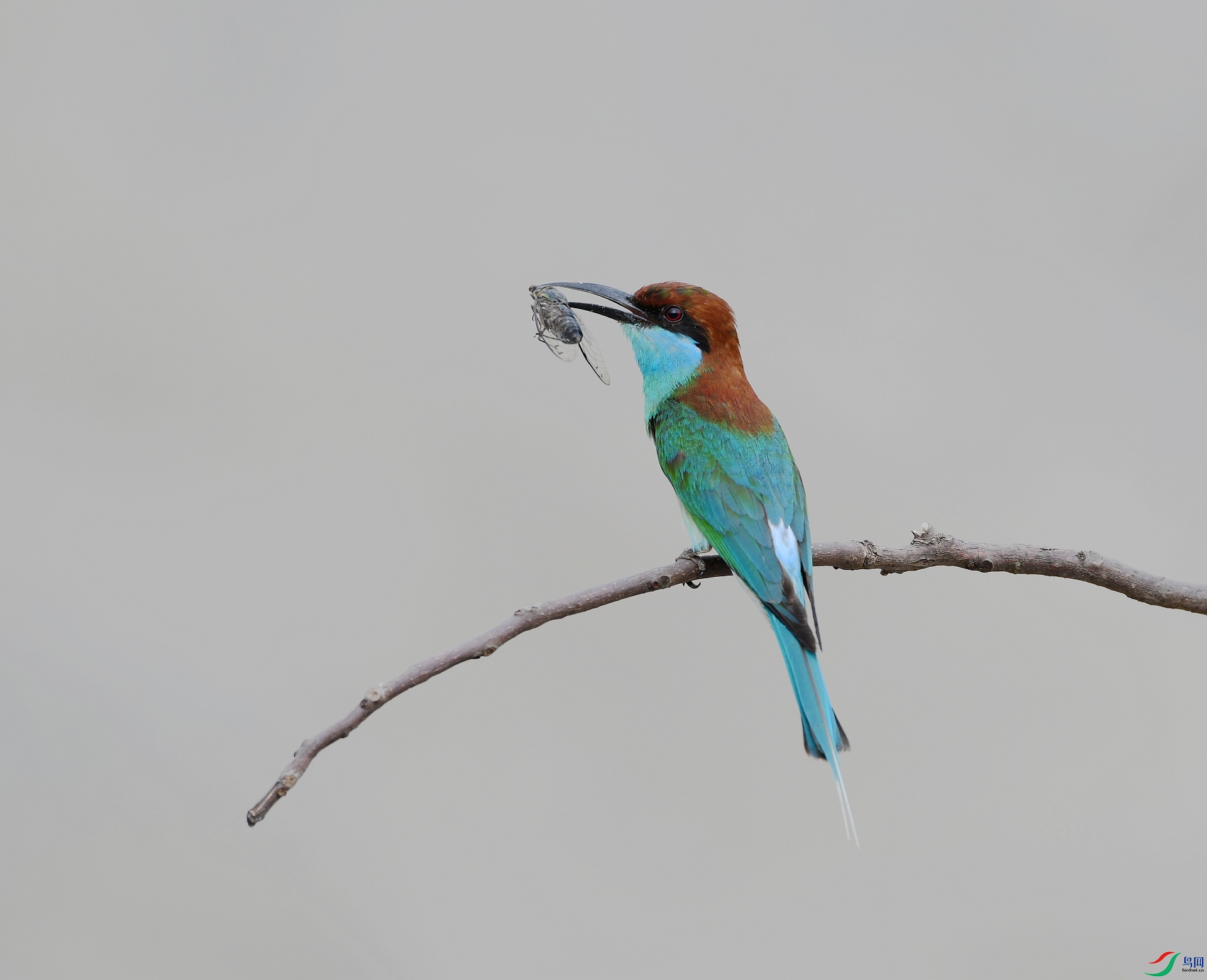 DSC_5799.jpg