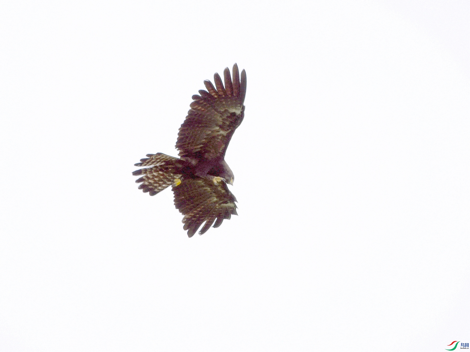DSC_5692.jpg