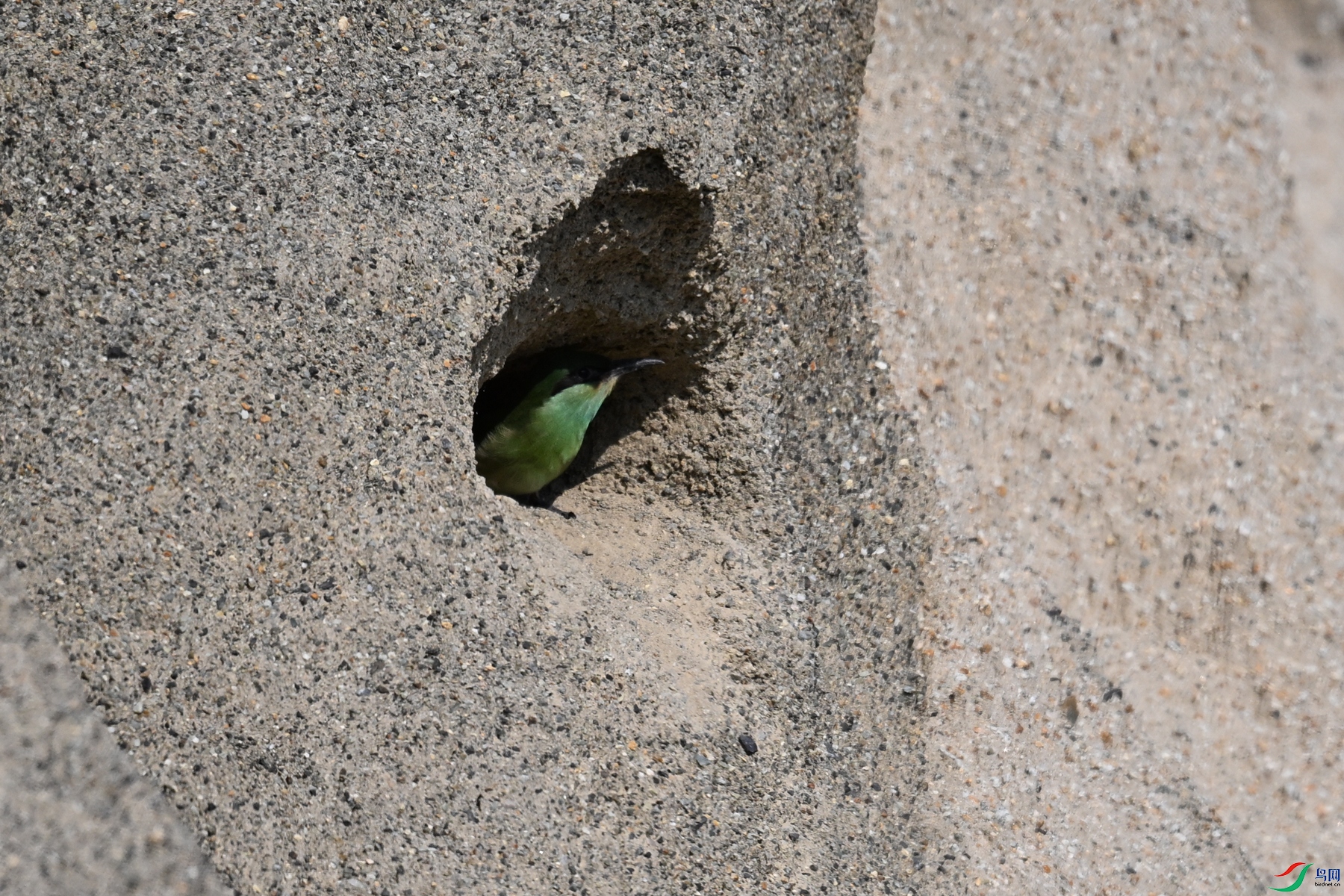DSC_2542.JPG