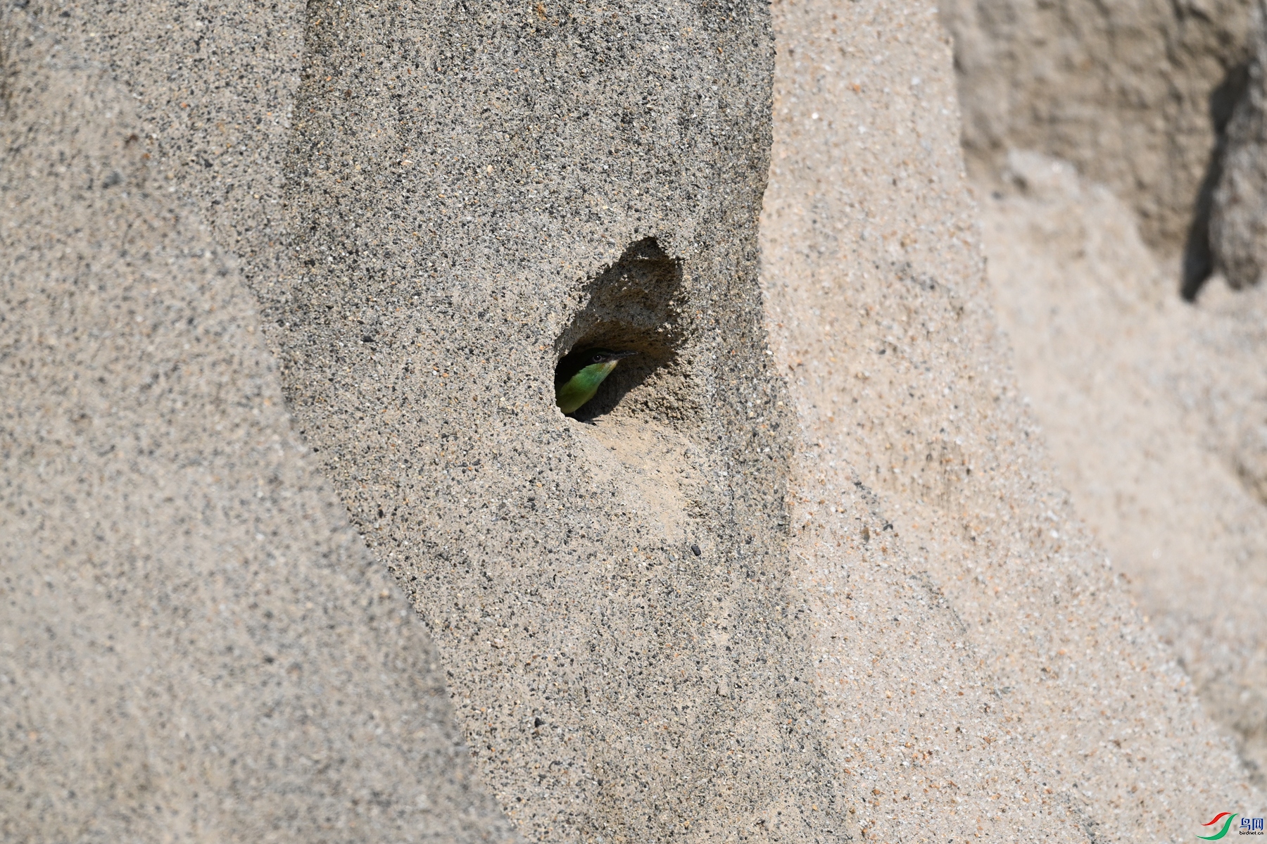 DSC_2571.JPG