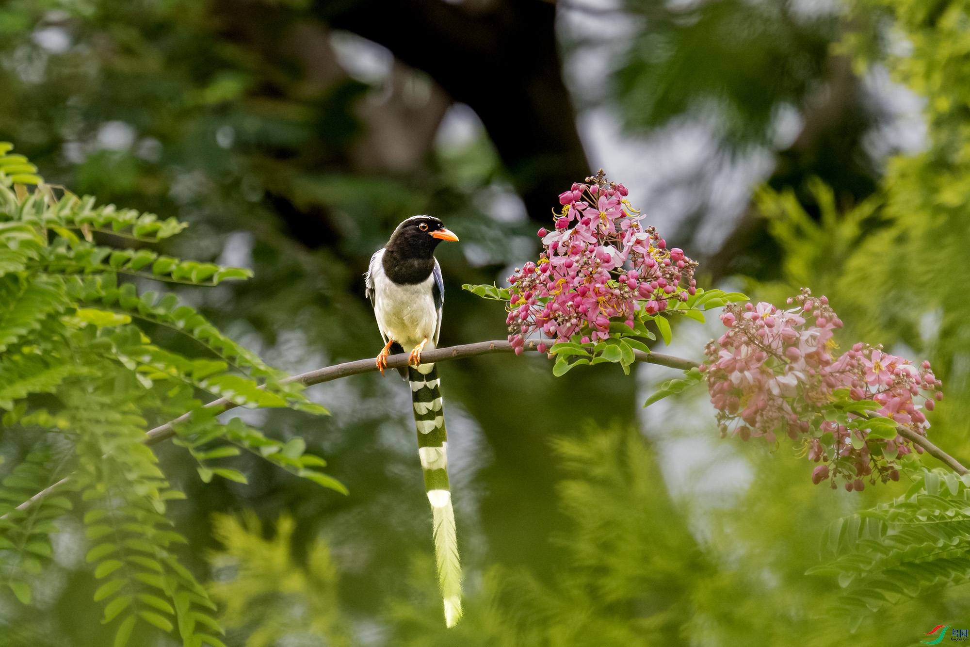 DSC_8197.jpg