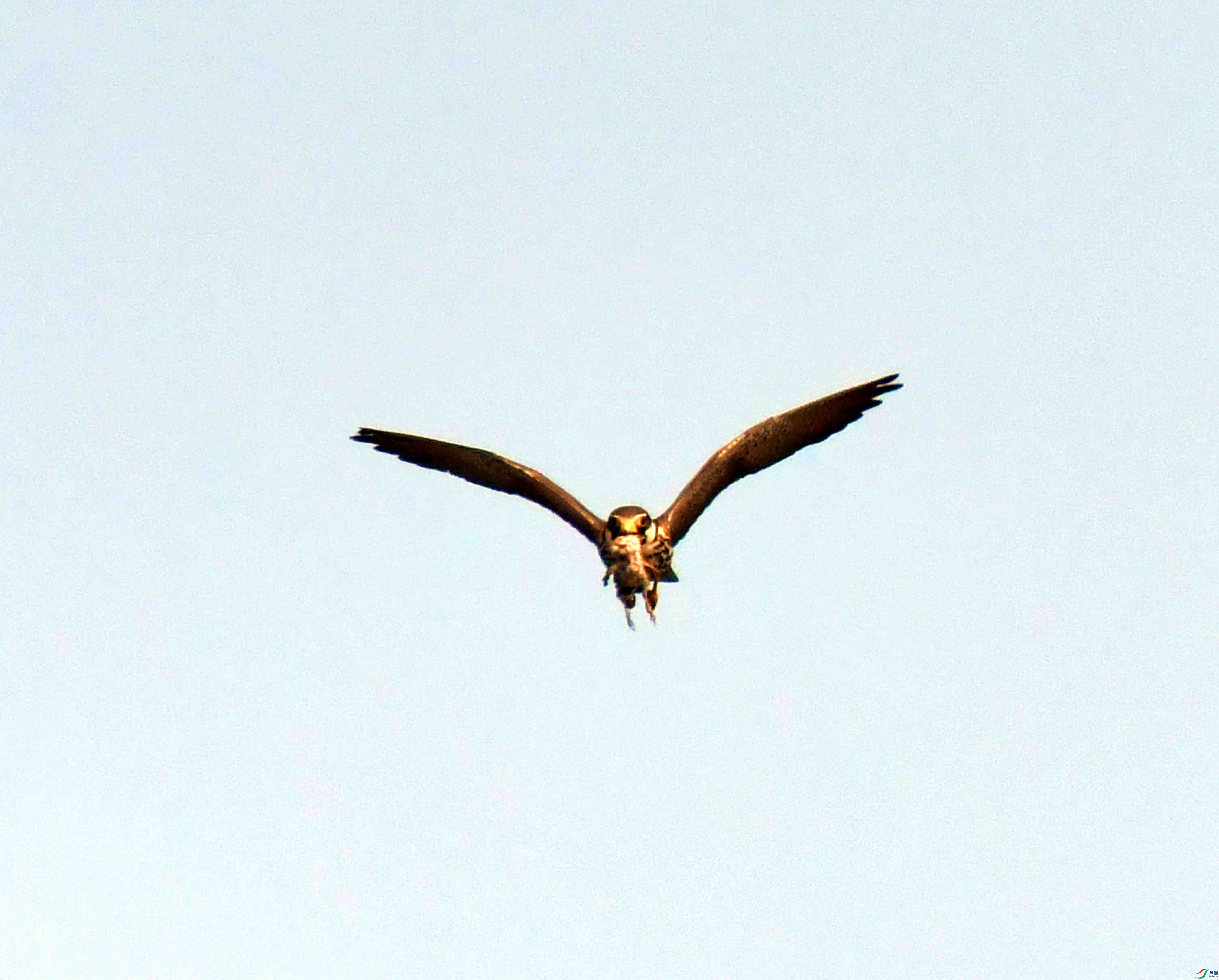 DSC_1509.JPG