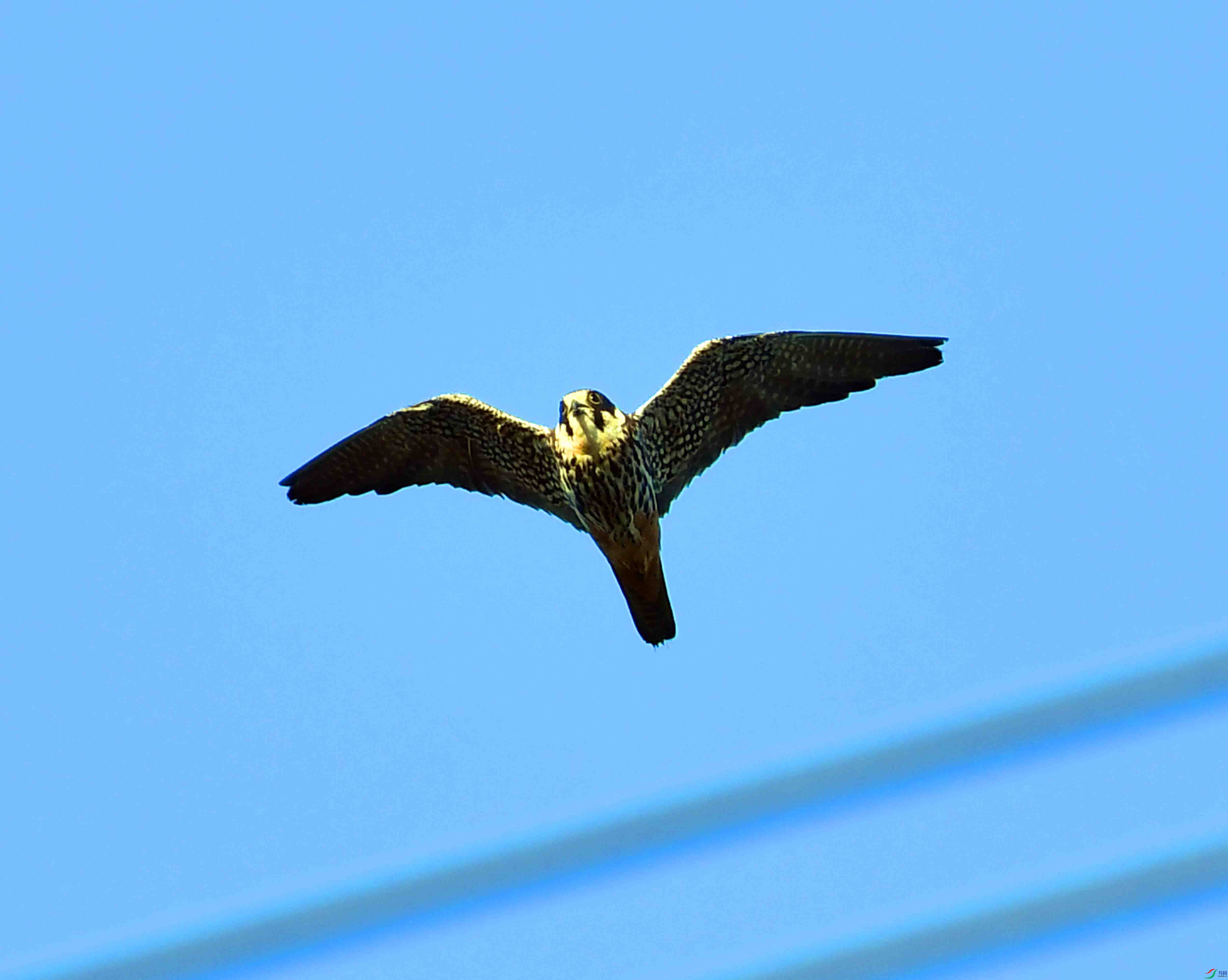 DSC_2074.JPG