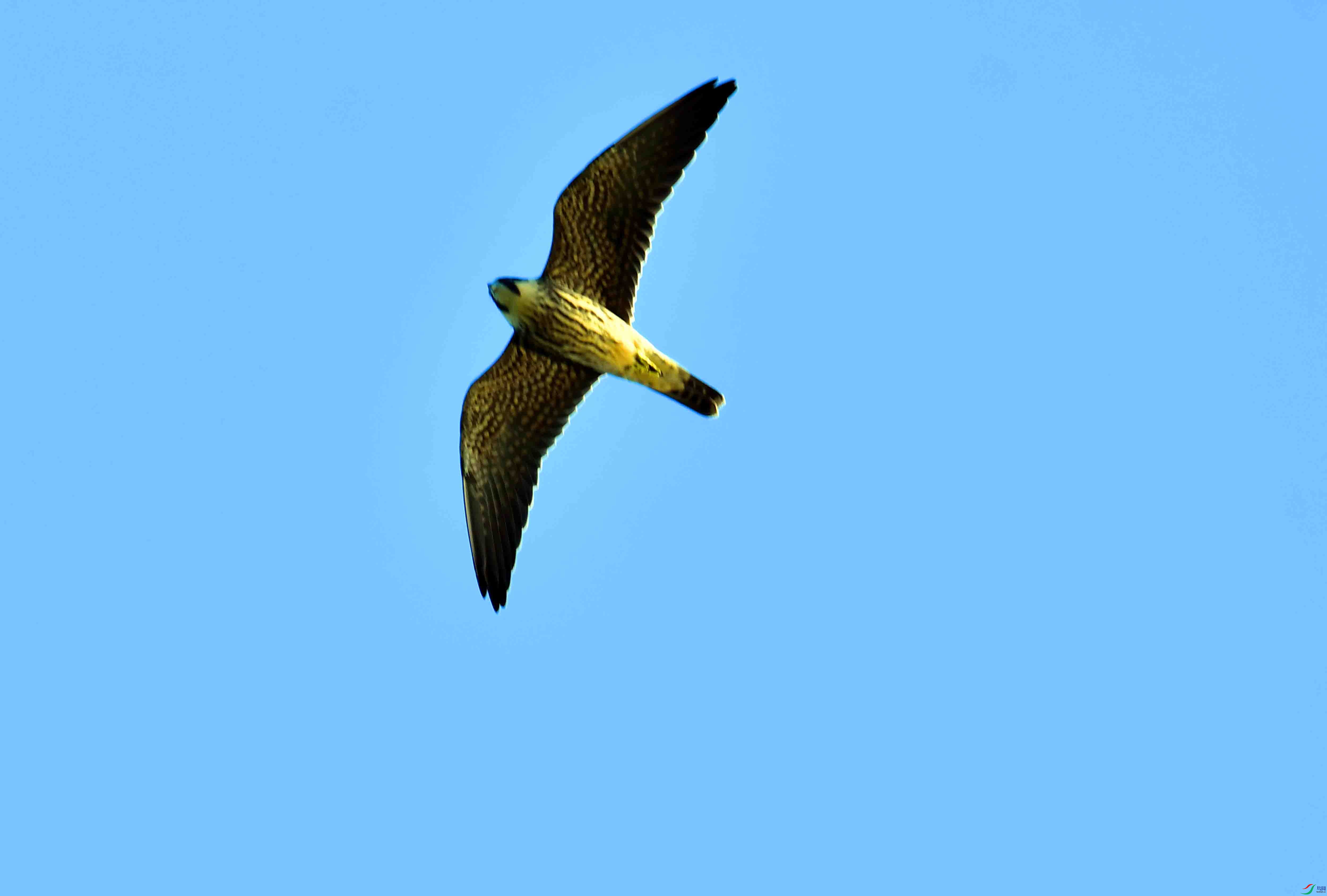 DSC_2121.JPG