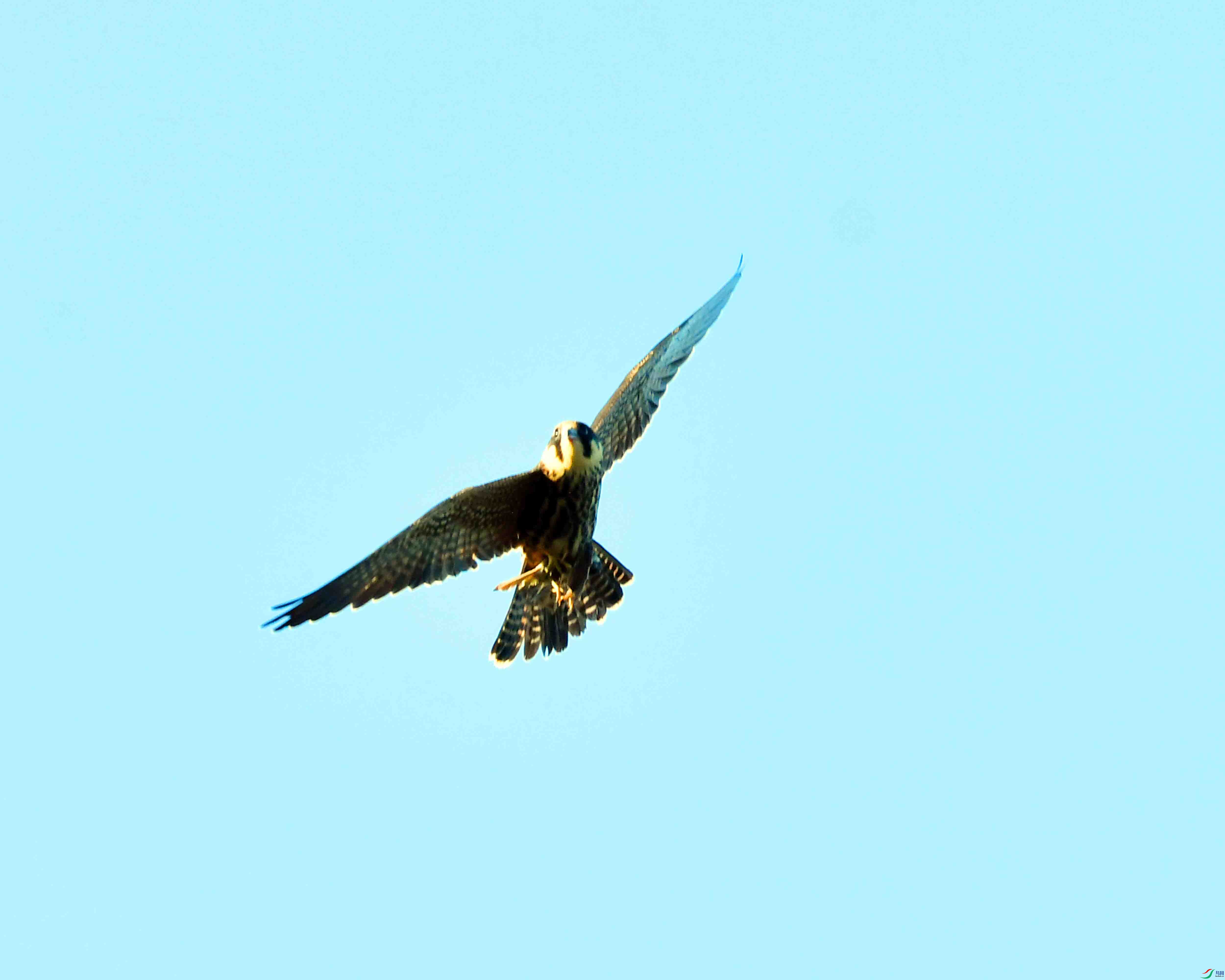 DSC_2692.JPG