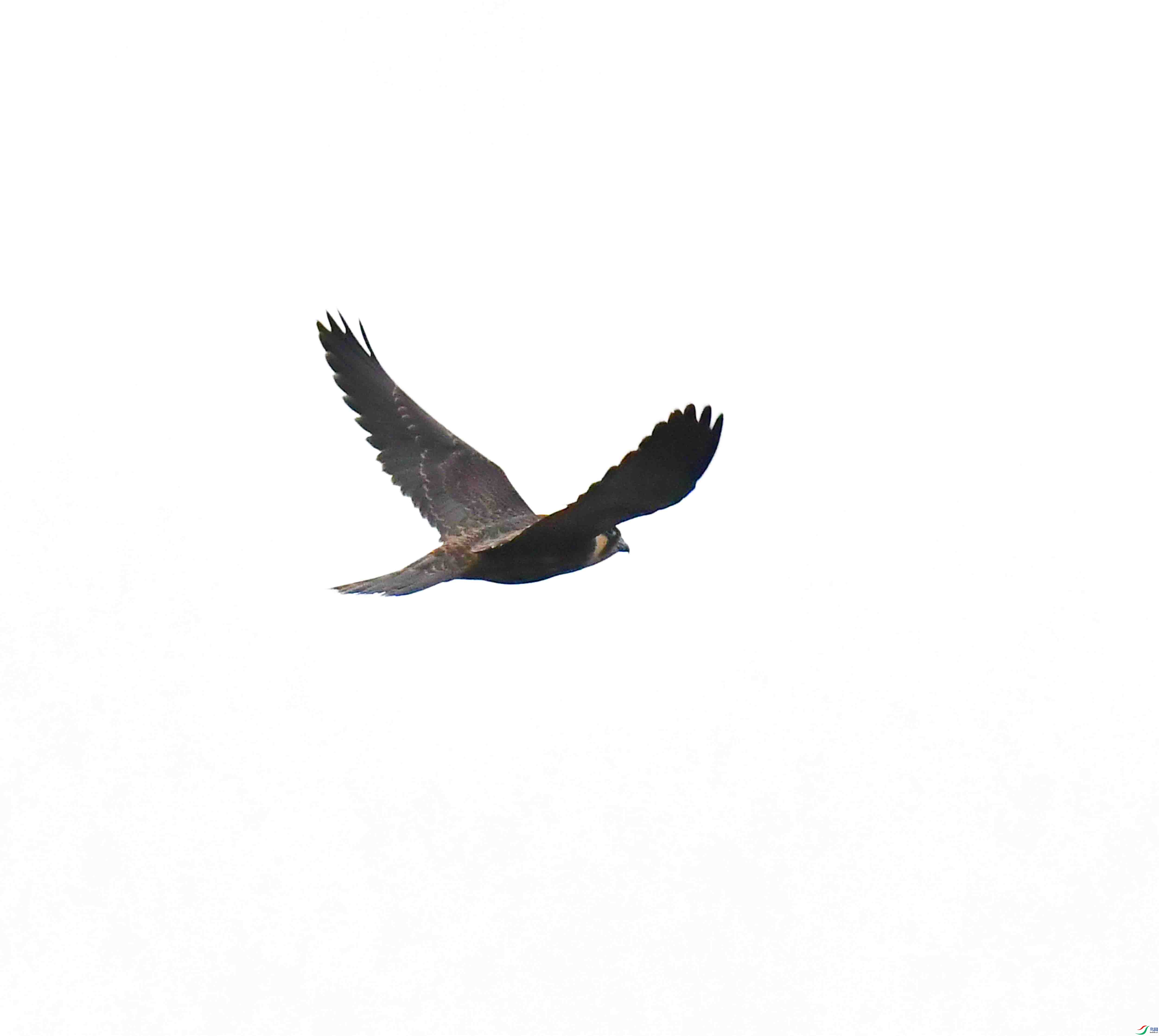 DSC_2757.JPG
