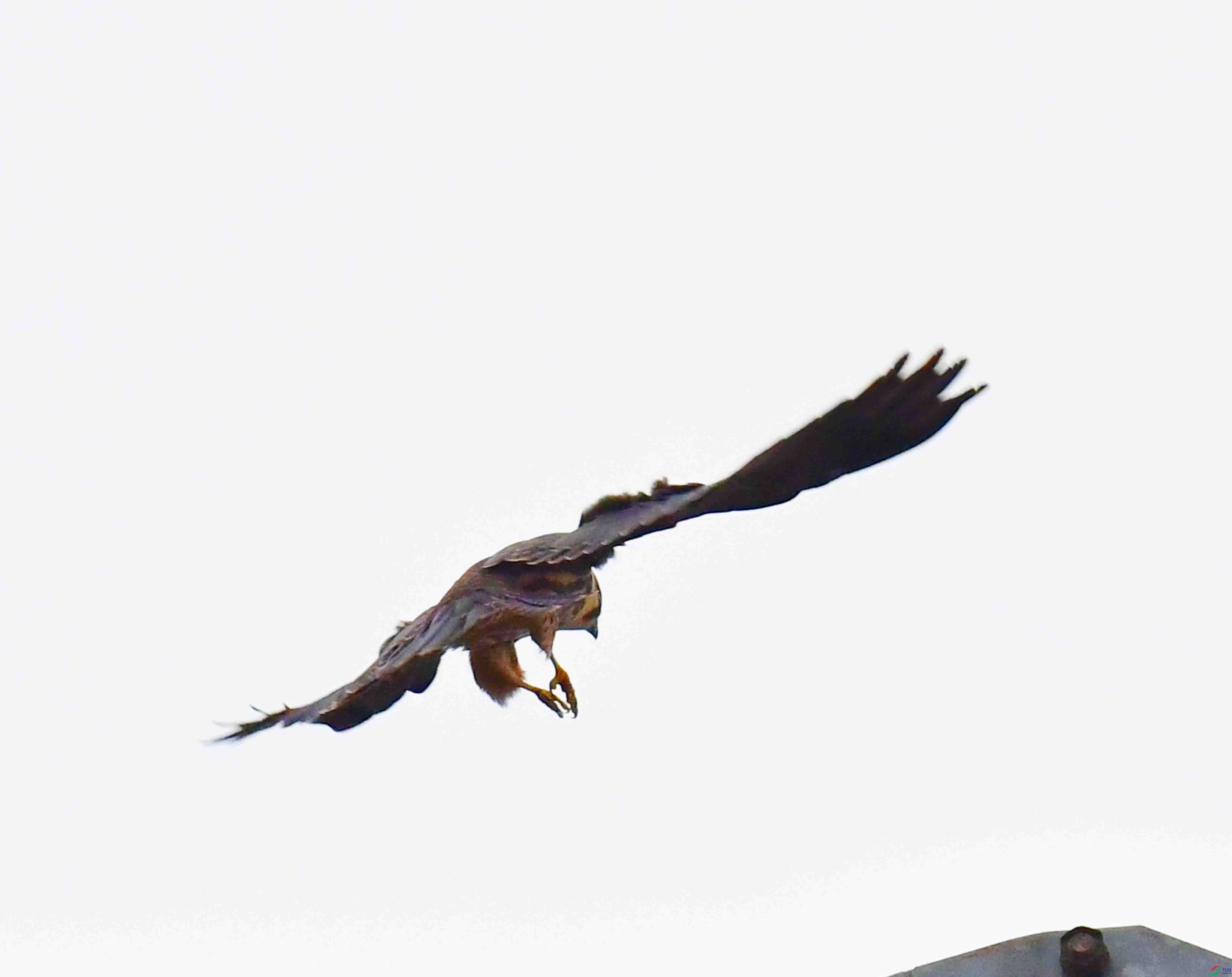 DSC_2889.JPG