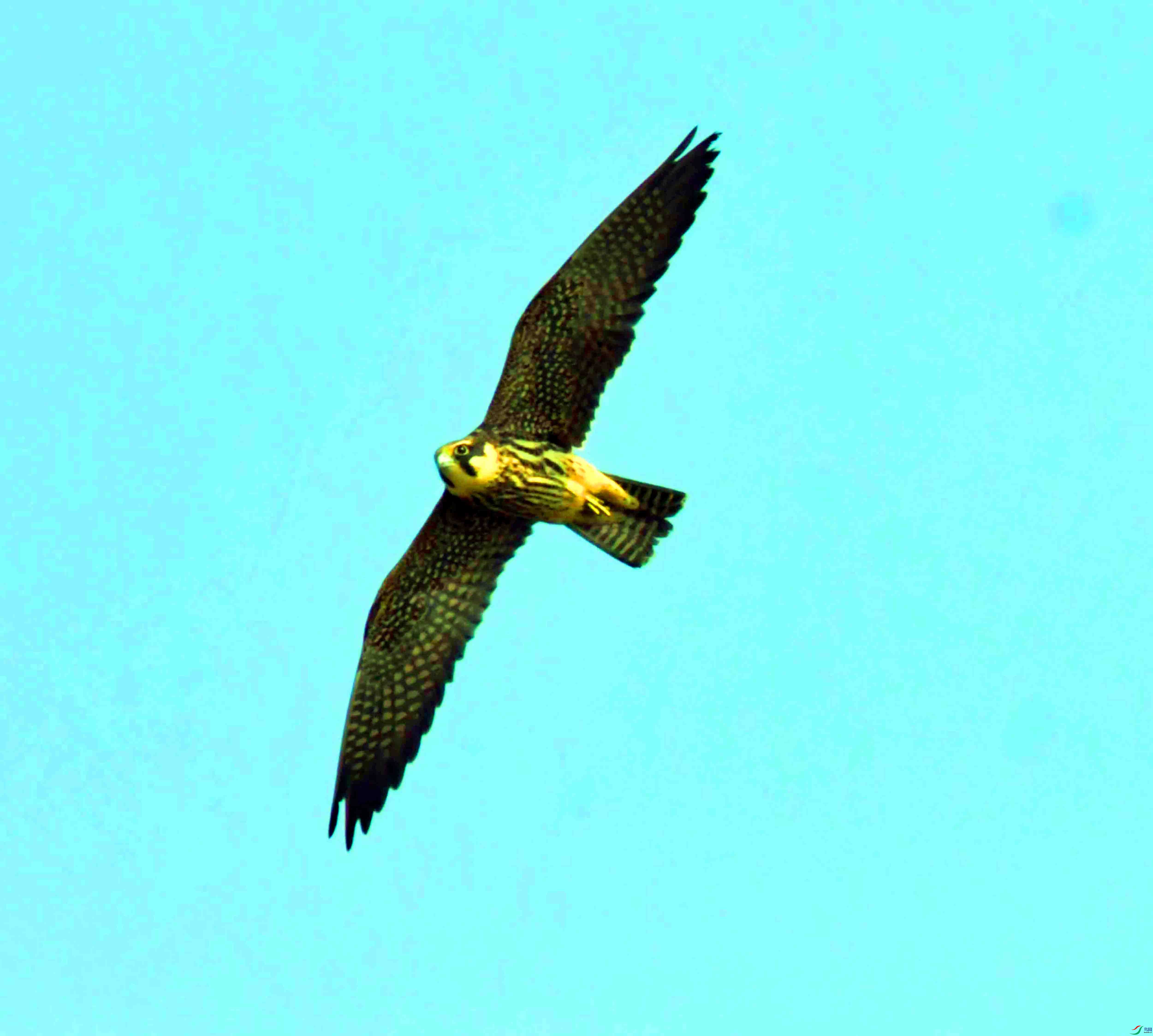 DSC_7291.JPG