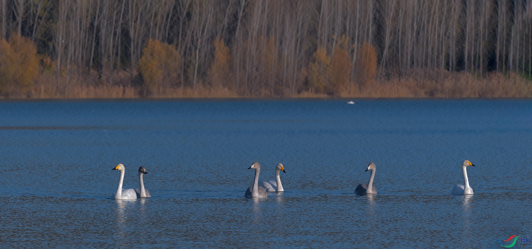 DSC_2495_DxOa.jpg