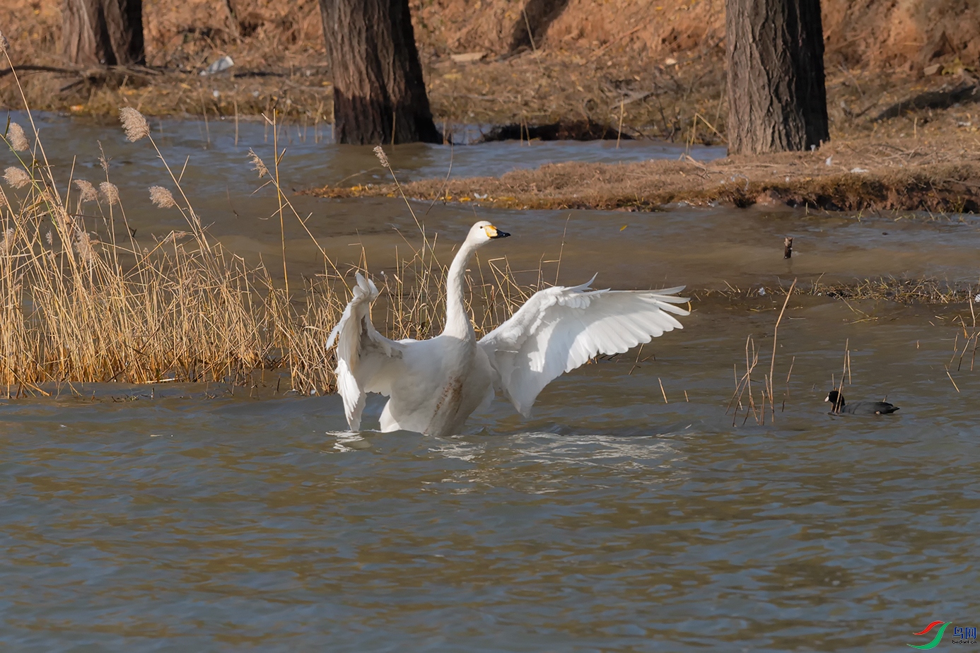 DSC_4119_DxOa.jpg