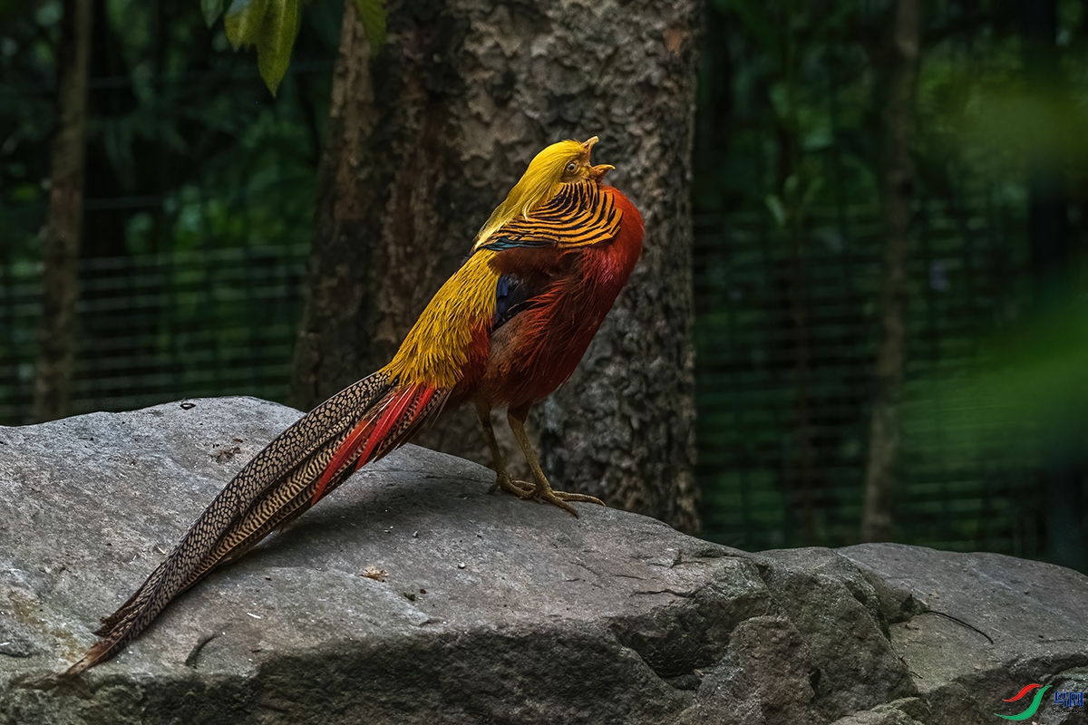 DSC_7176.jpg