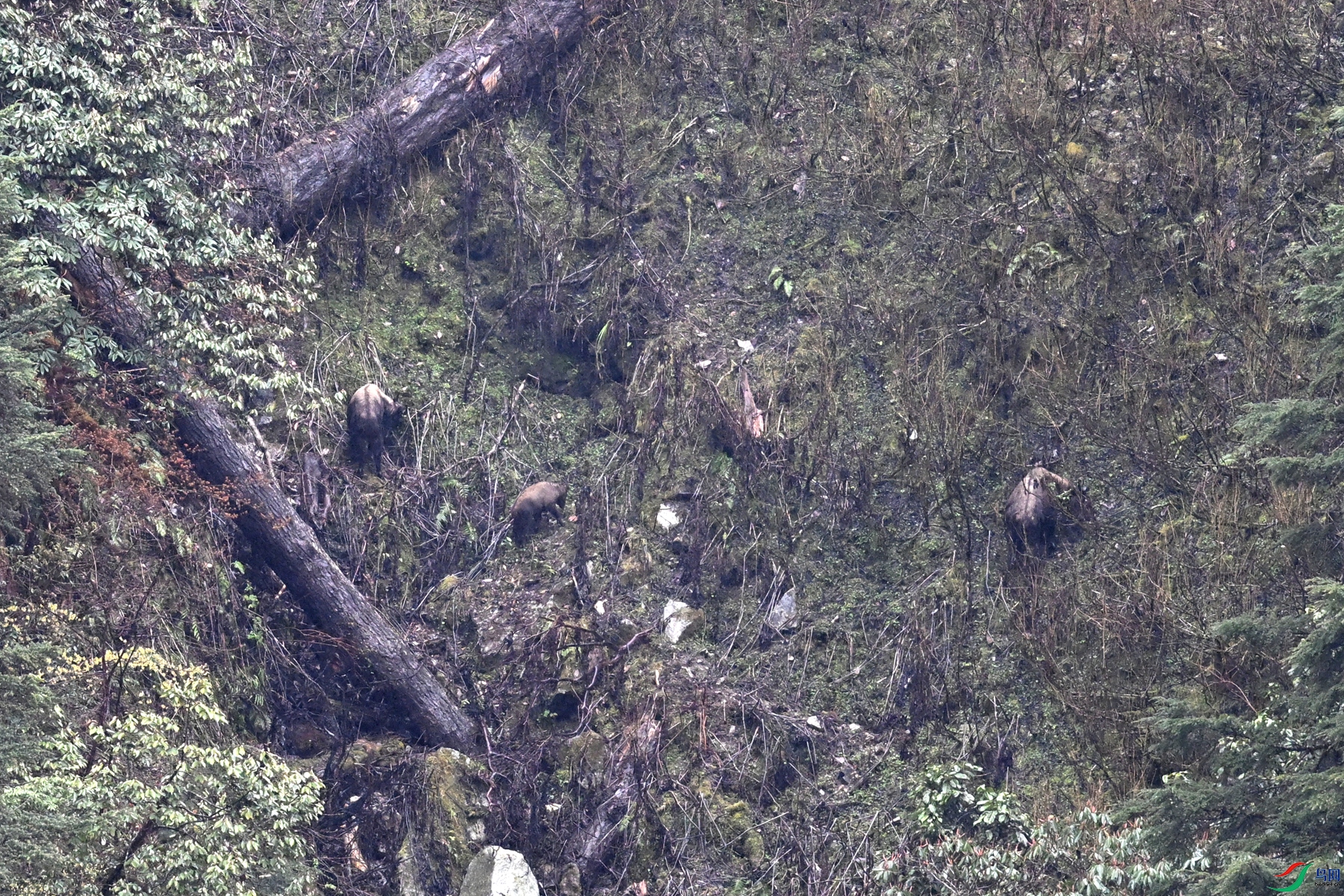 DSC_0731.JPG
