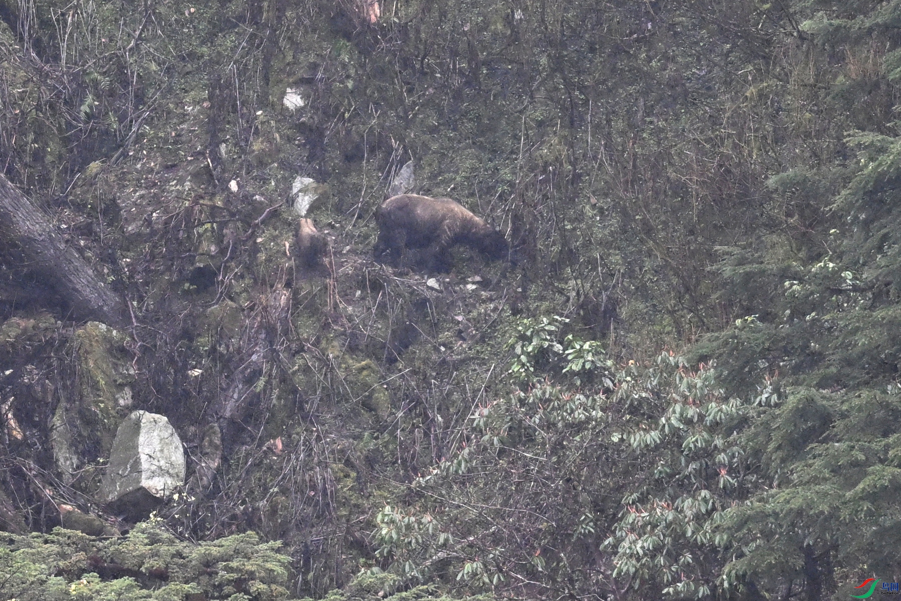 DSC_0672.JPG