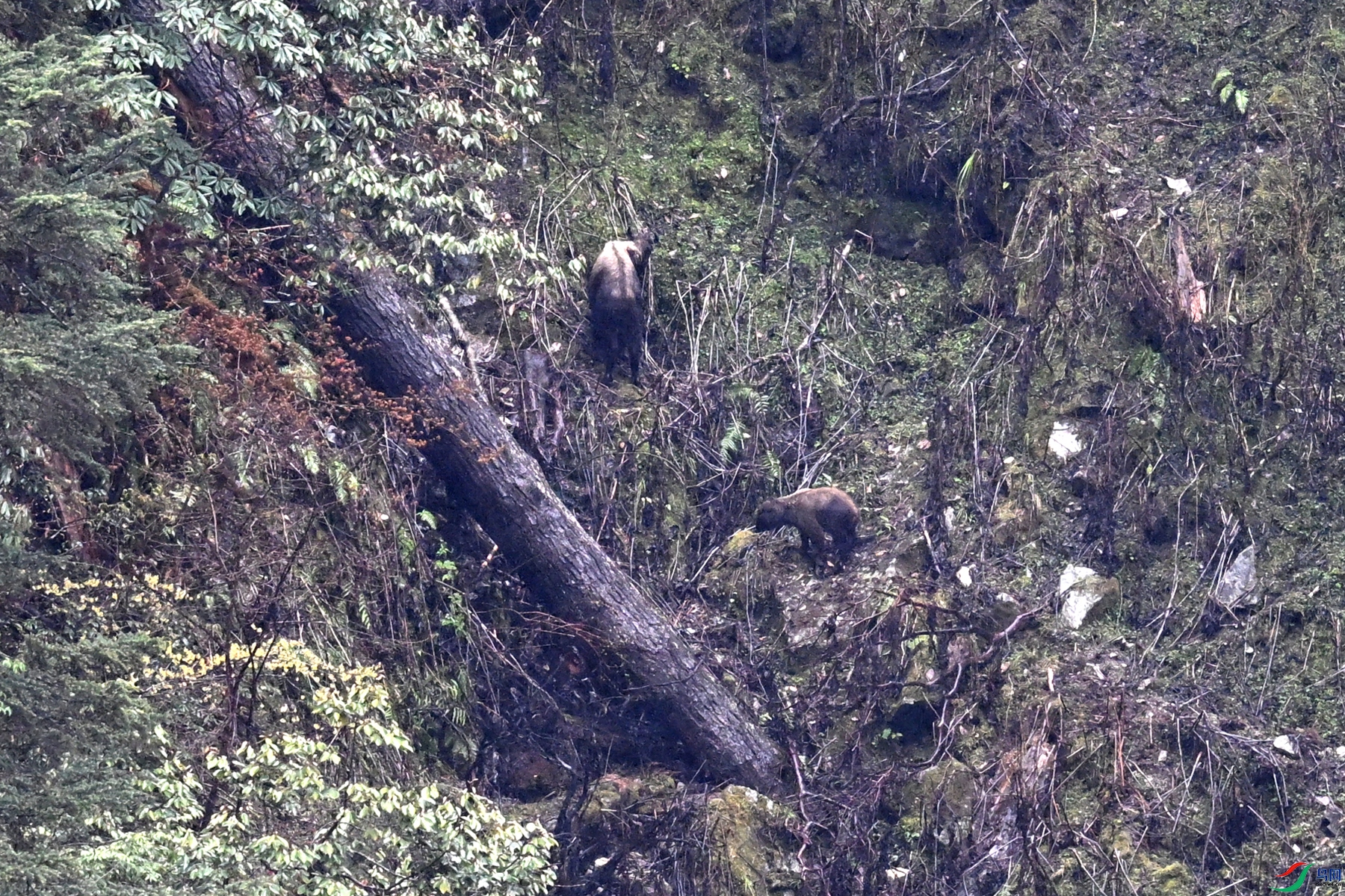DSC_0720.JPG