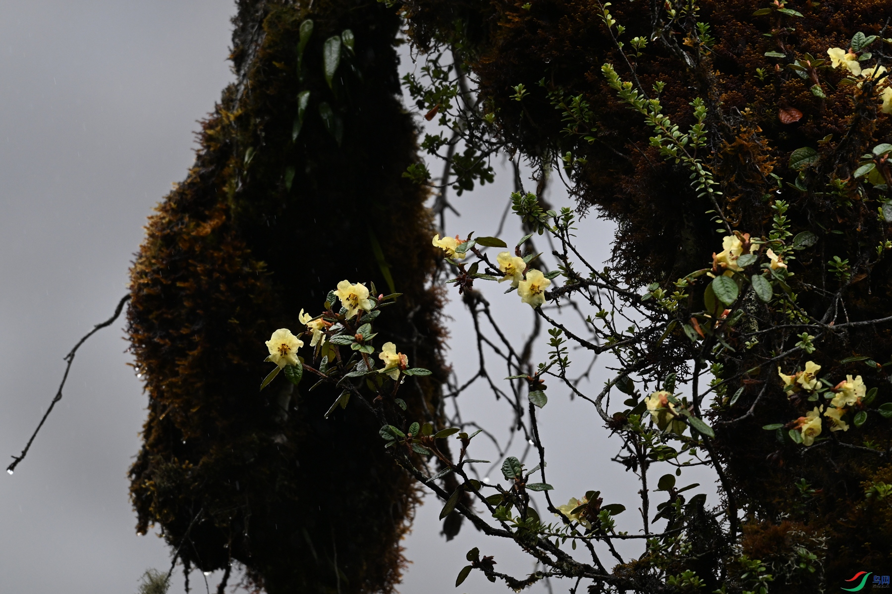 DSC_0752.JPG