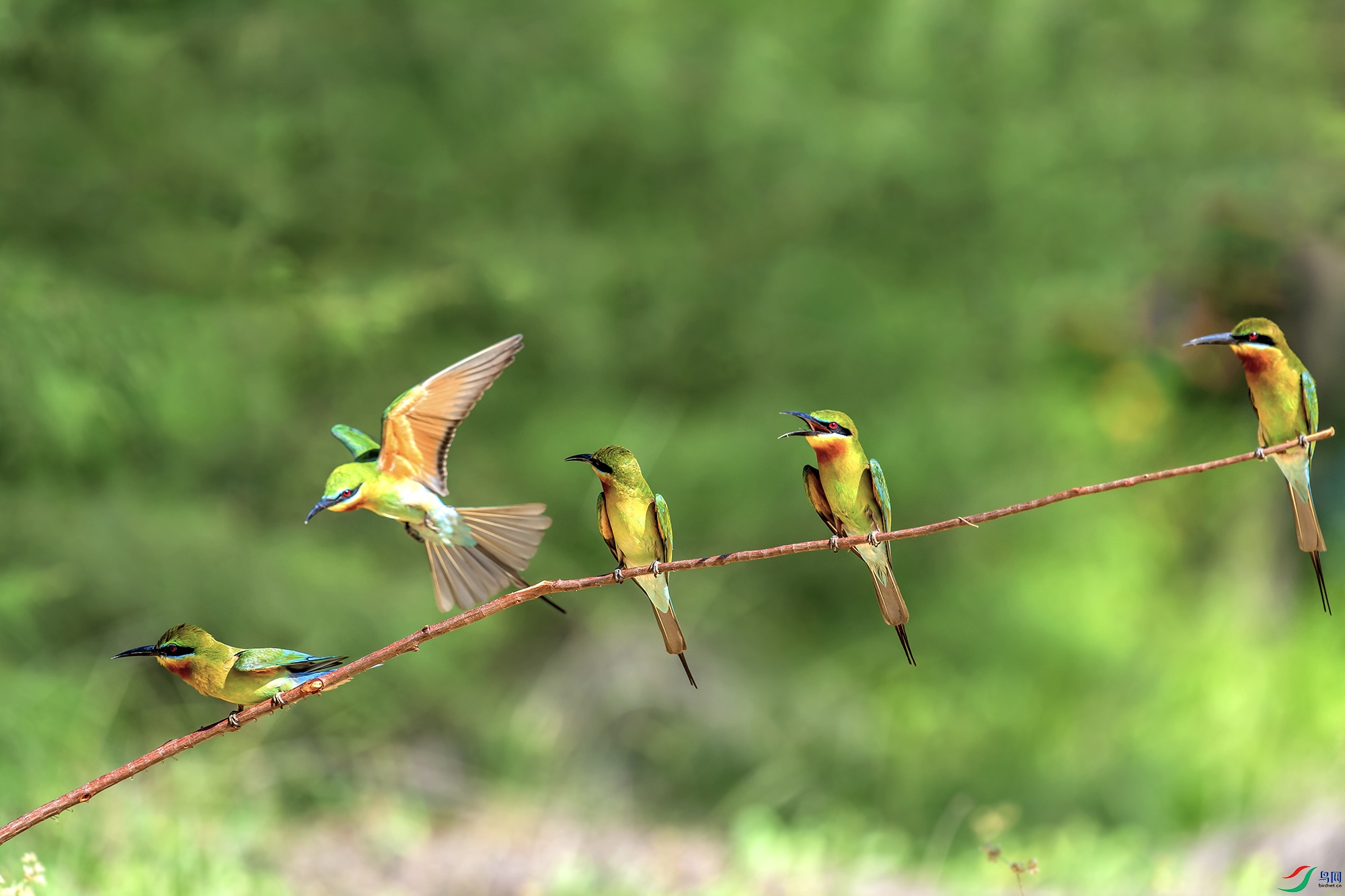 DSC_0022v.jpg