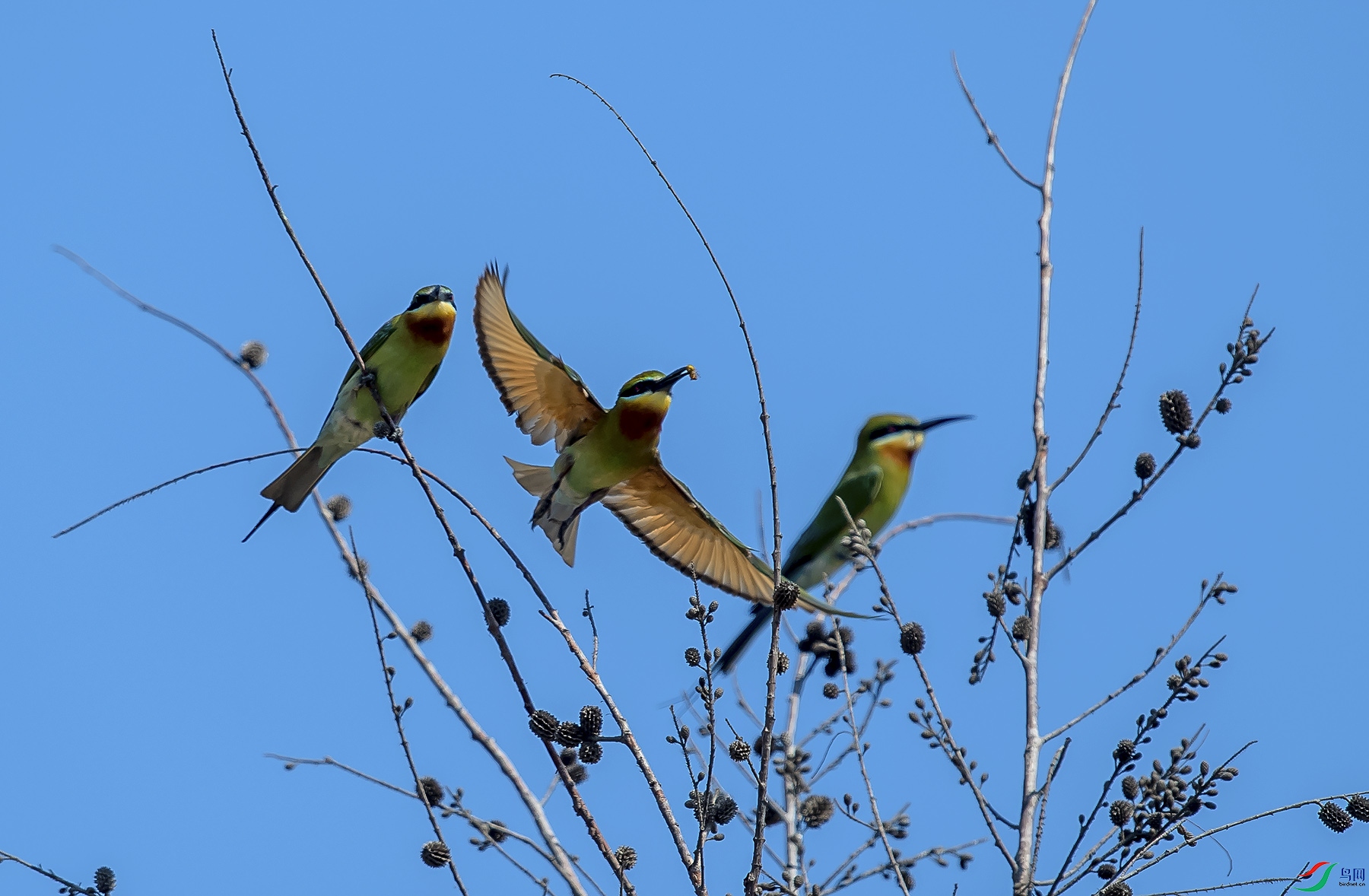DSC_0258.jpg