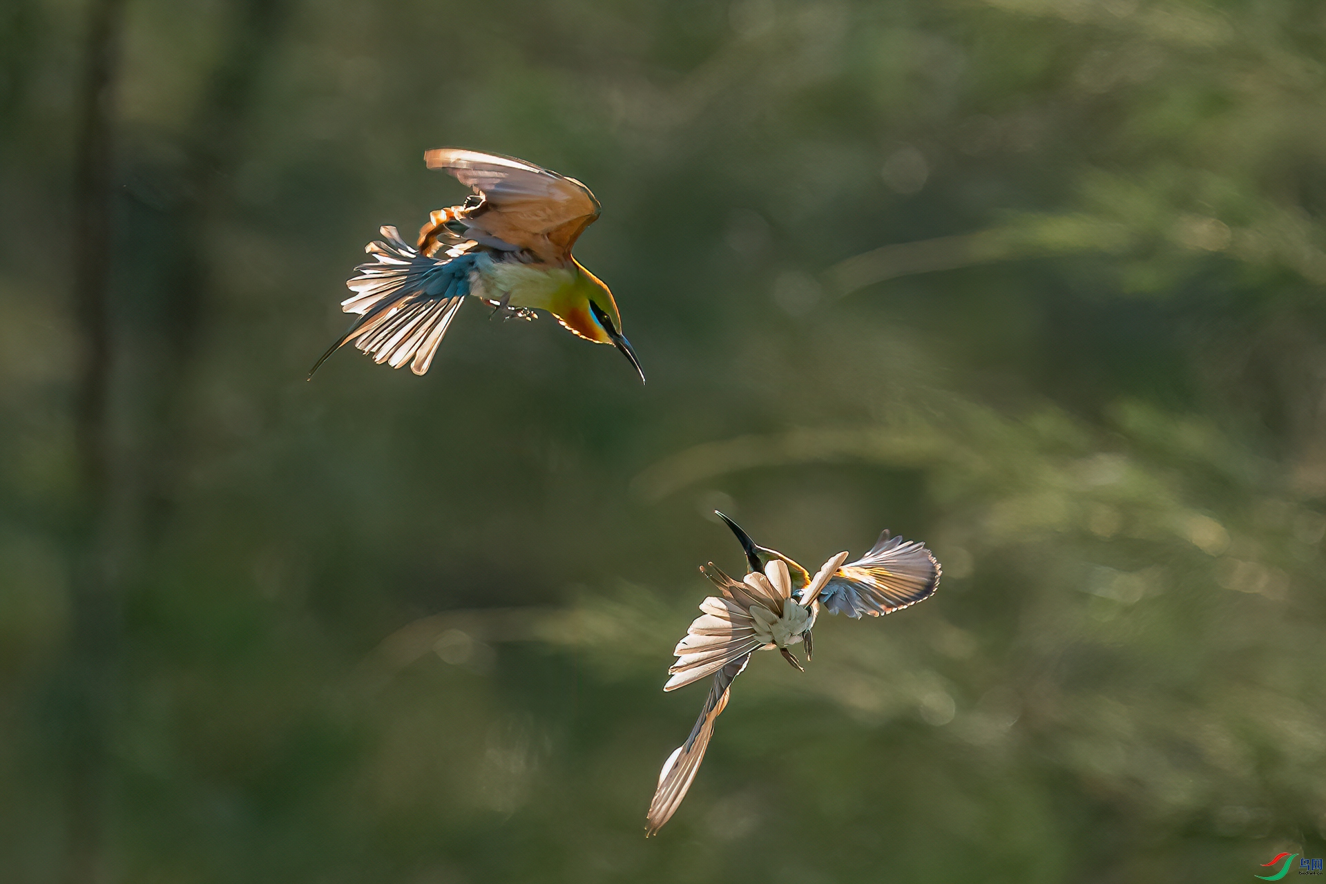 DSC_2030-21.jpg