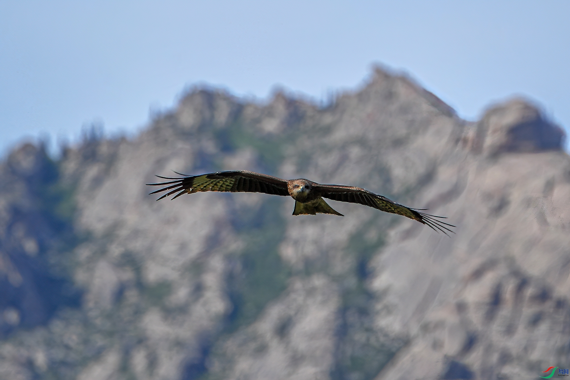 DSC_8705-11.jpg