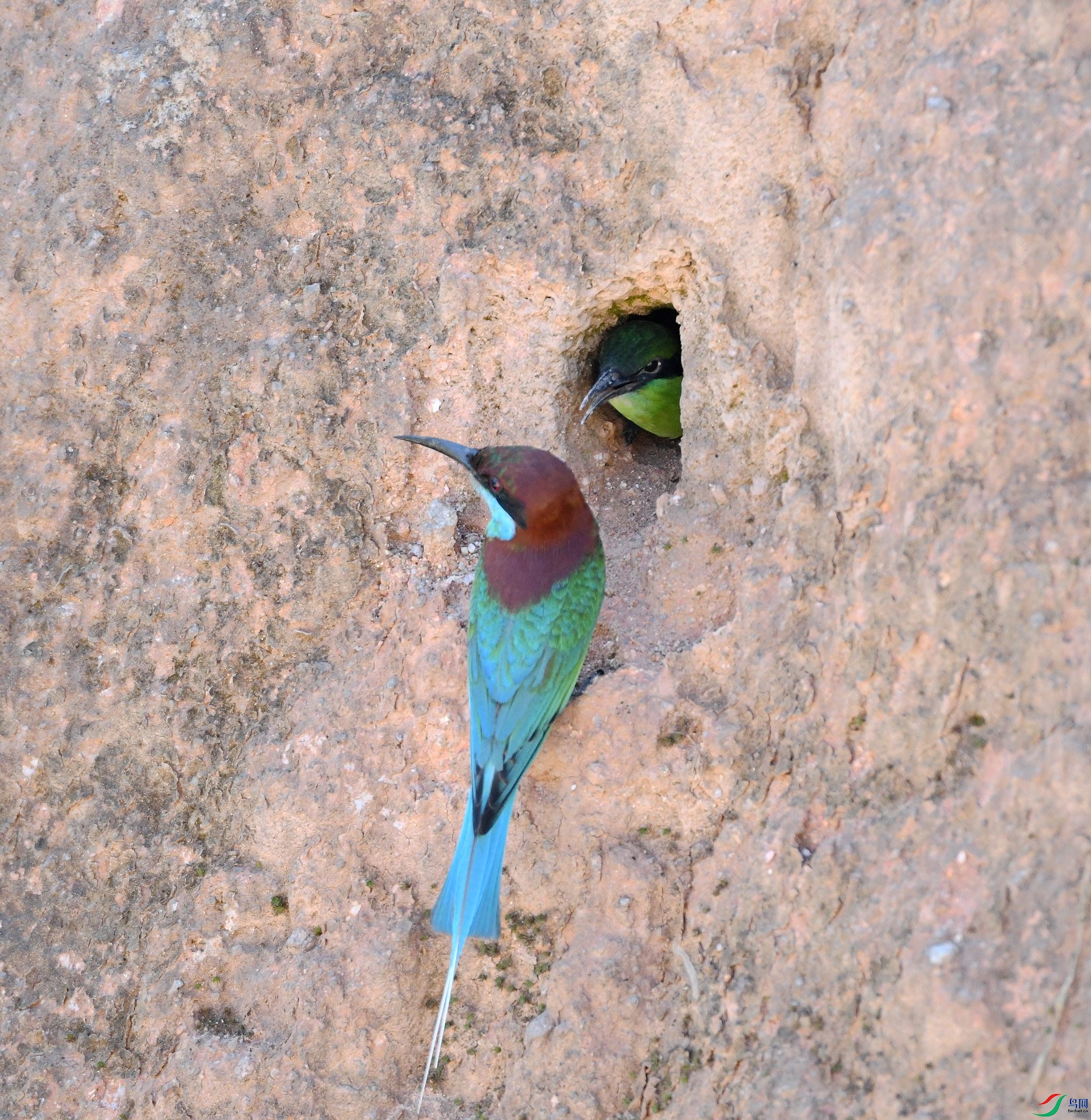 DSC_8104.jpg