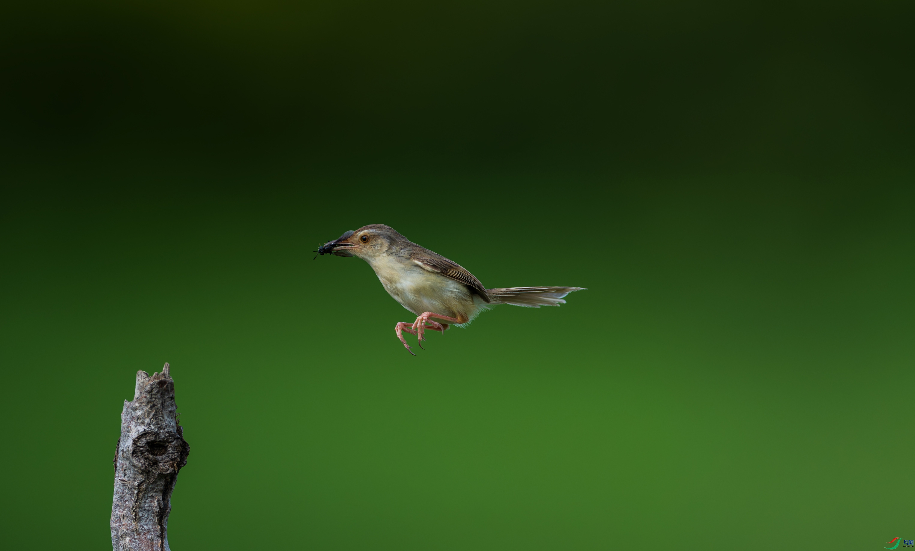 DSC_5210.jpg