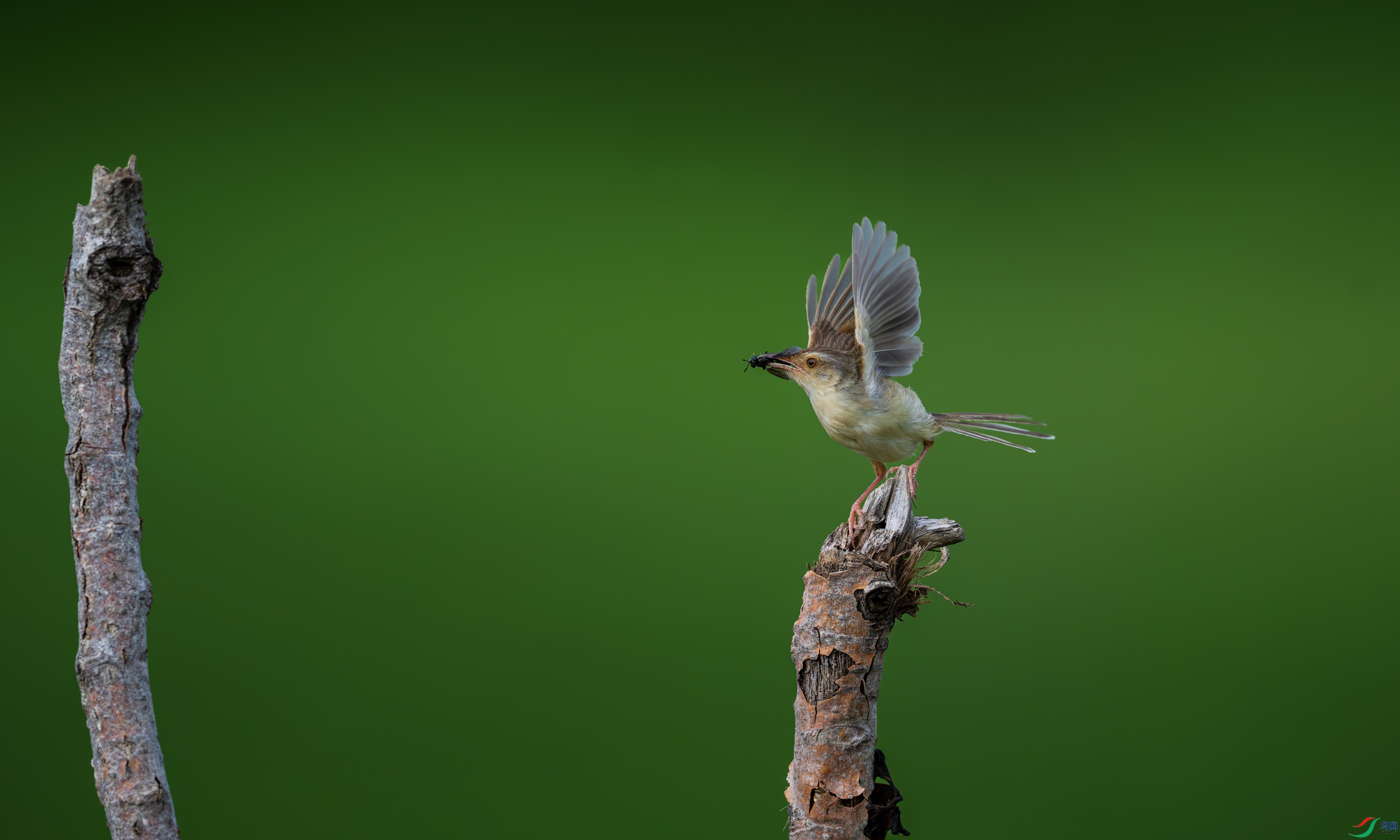 DSC_5207.jpg