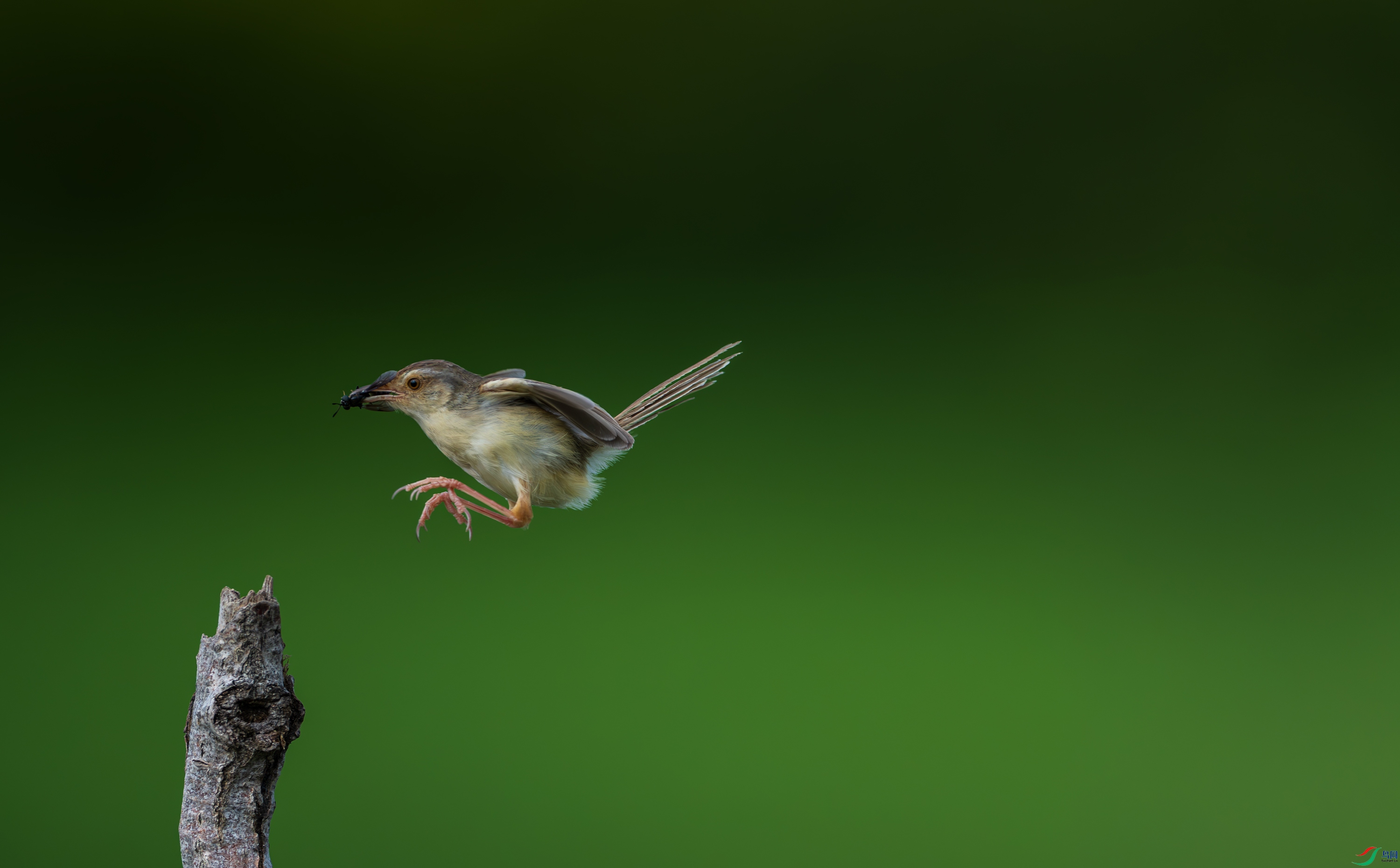 DSC_5211.jpg