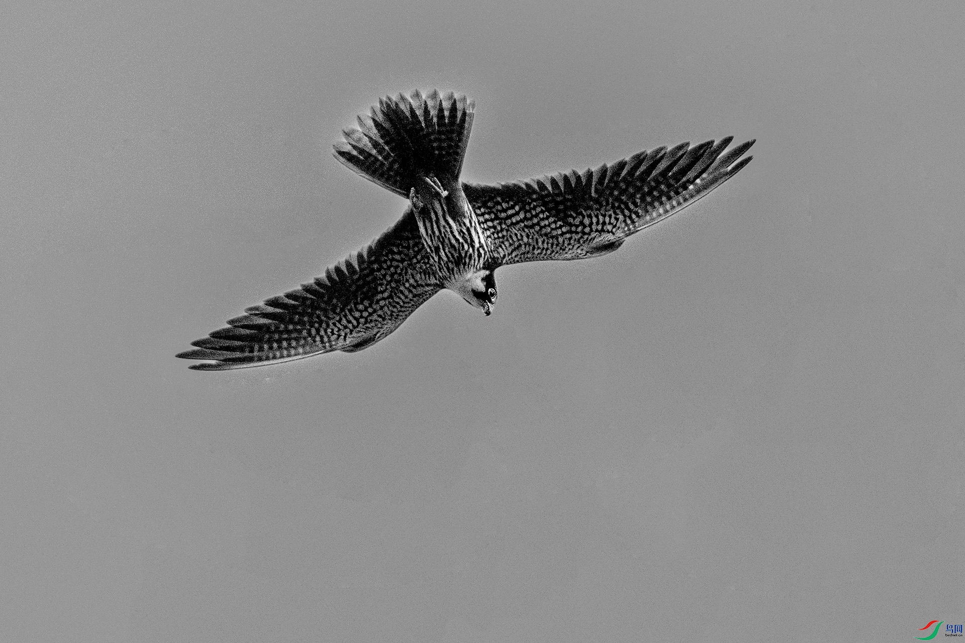 DSC_0705-9.jpg