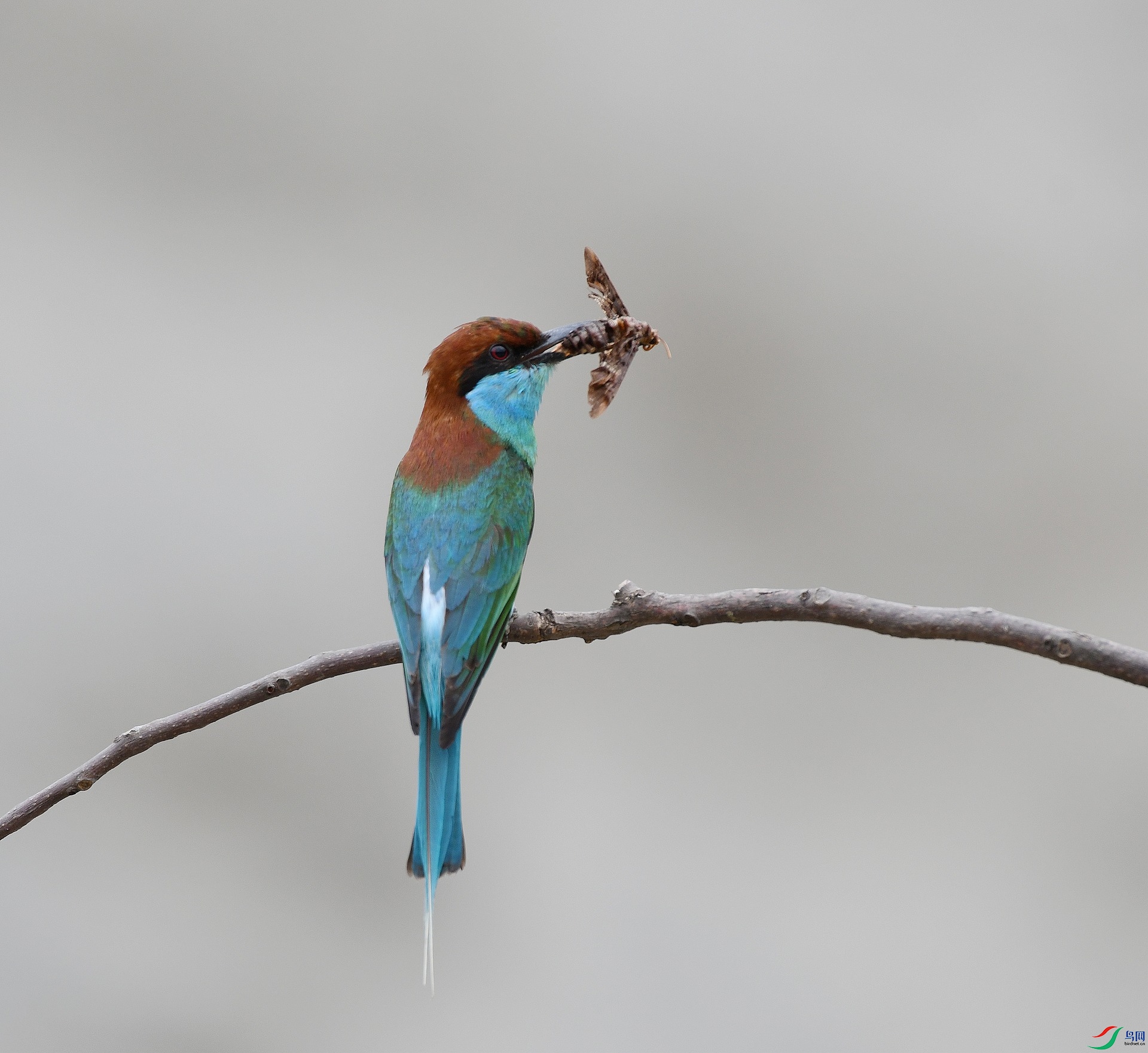 DSC_4921.jpg