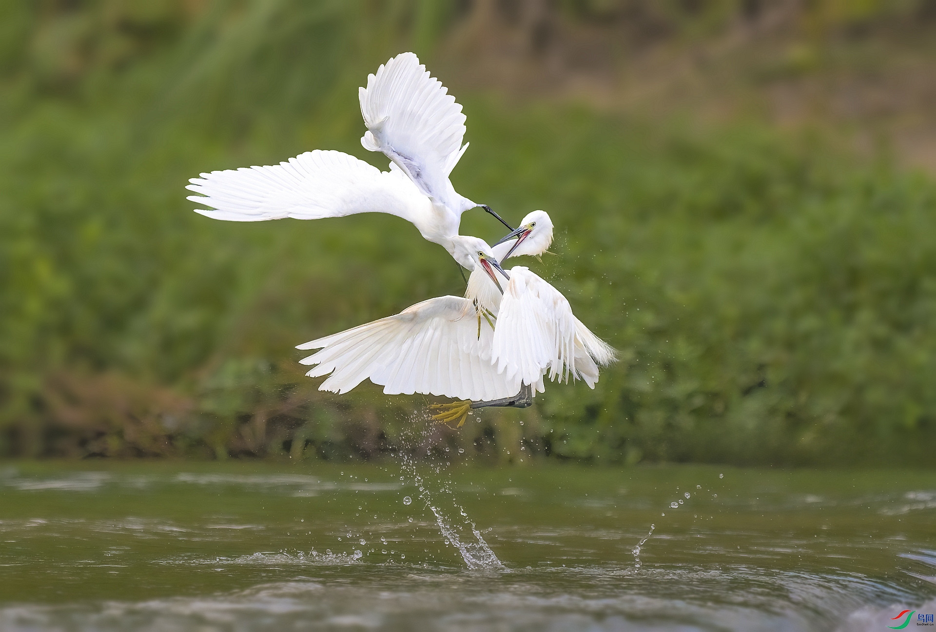 DSC_1543_����.jpg